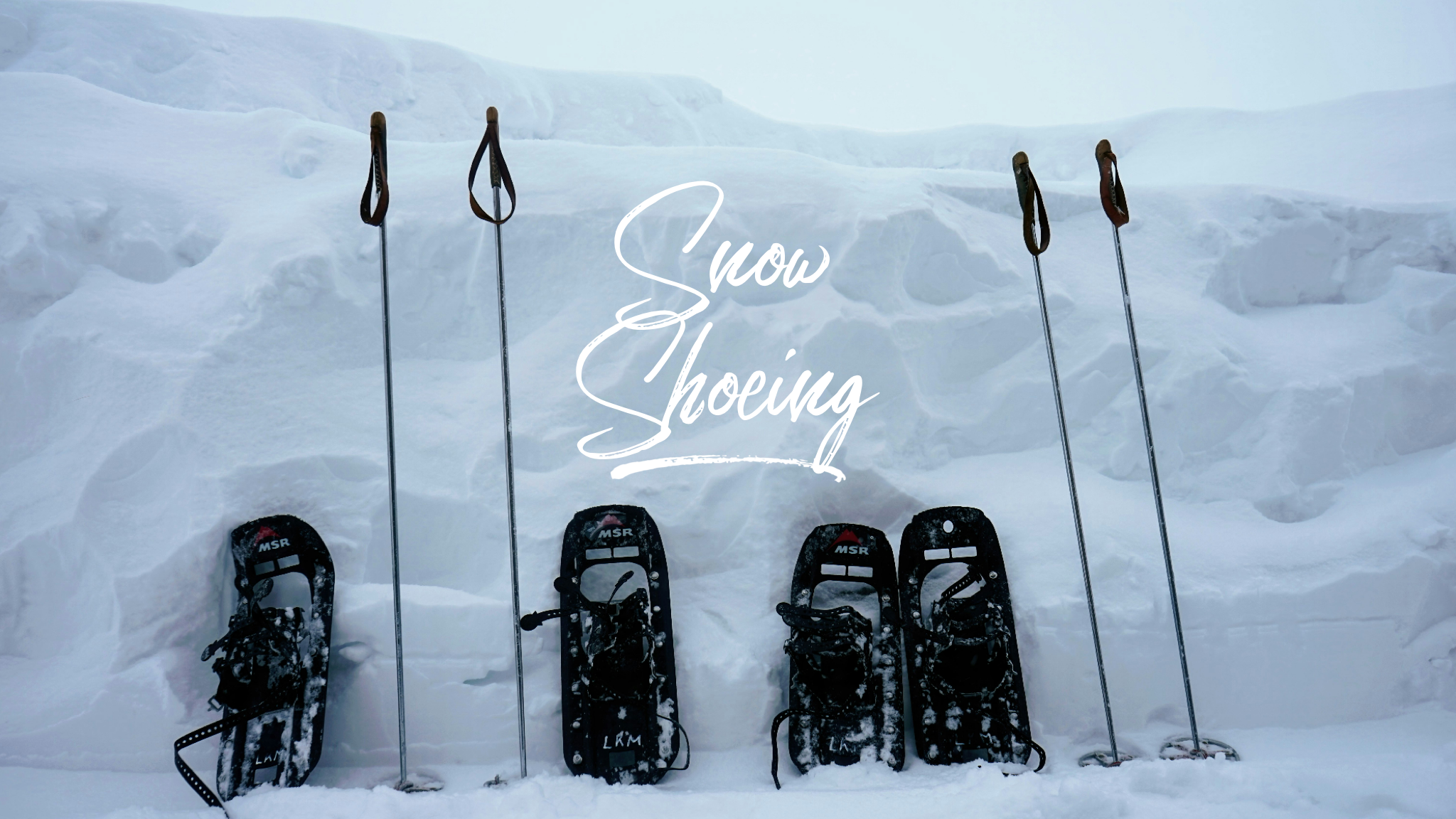 Snow Shoeing Serenity Experience.
The Northwoods invites deep breaths and a feeling of connection to the untouched beauty of the wilderness. Whether you want to stay close to the Holler North 14 acre property trails or you want to enjoy going off on 