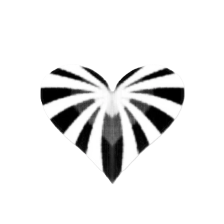 How to Walk Multiple Dogs Without Leash Tangles (Safely &amp; Stress-Free)