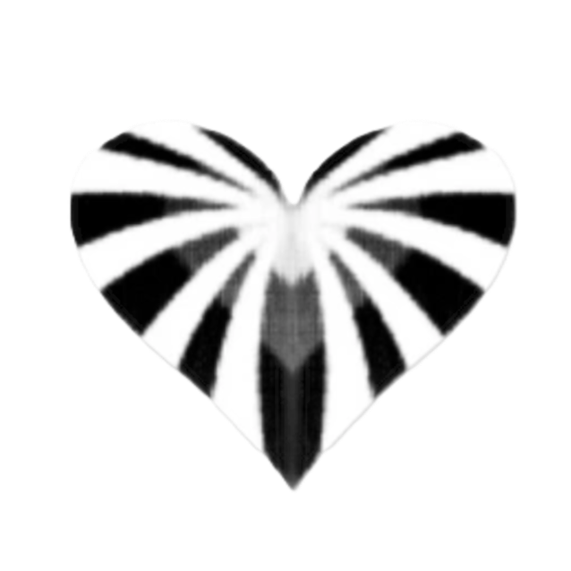 The Journey of Invention: Reimagining Dog Walking with MyHerculead