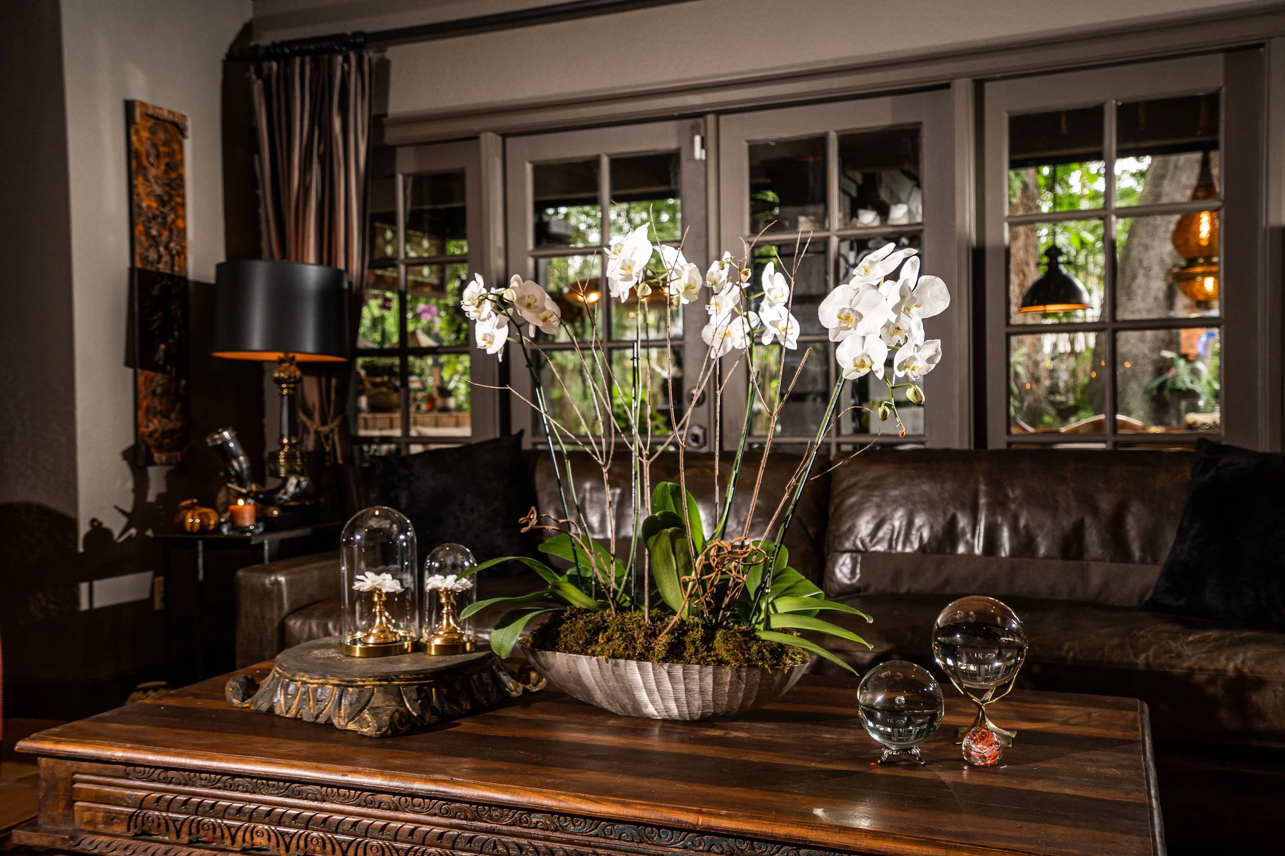 White phalaenopsis orchid plant in a modern planter, styled with a clean, minimal and sculptural aesthetic
