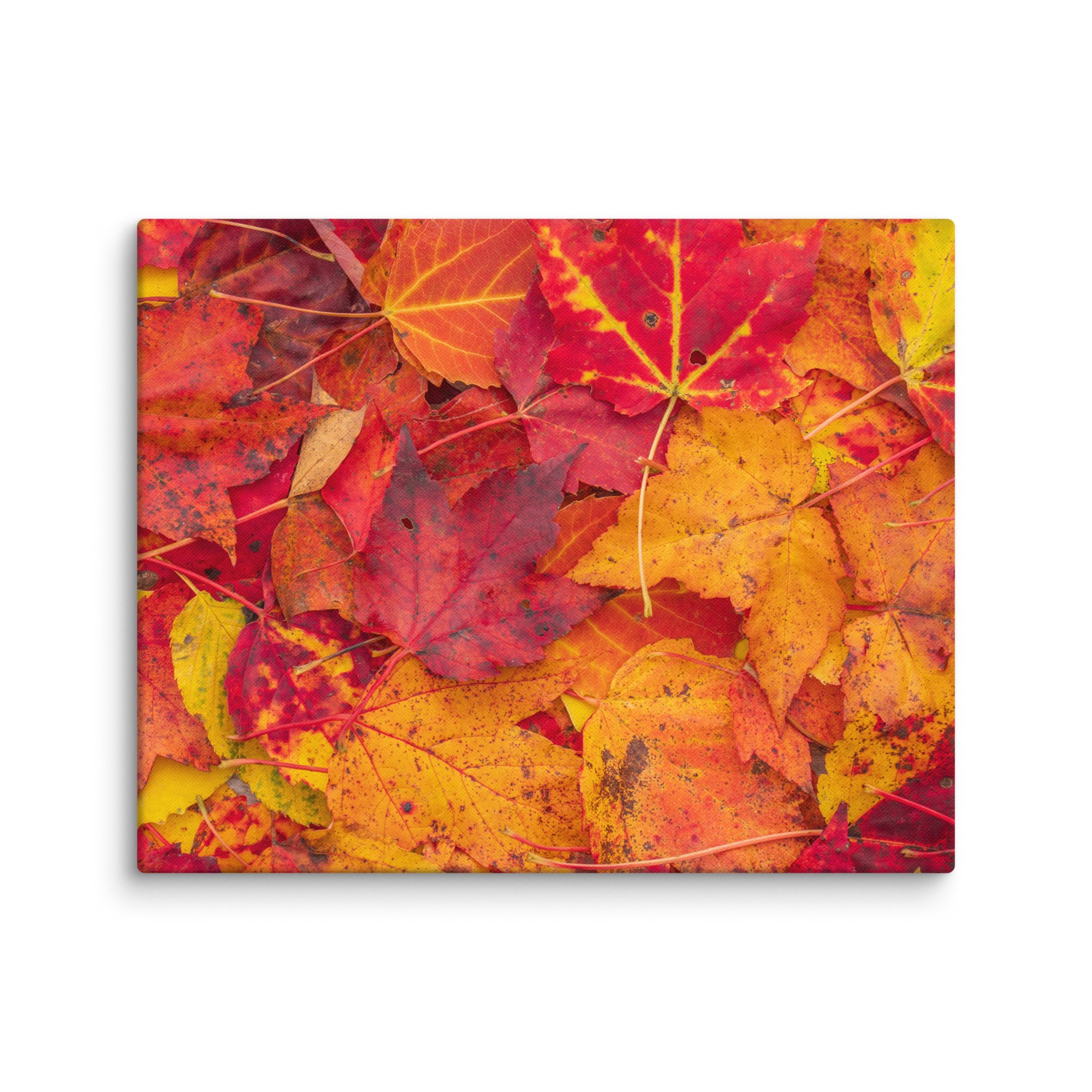 canvas-(in)-16x20-wall-67c4c82019867.jpg