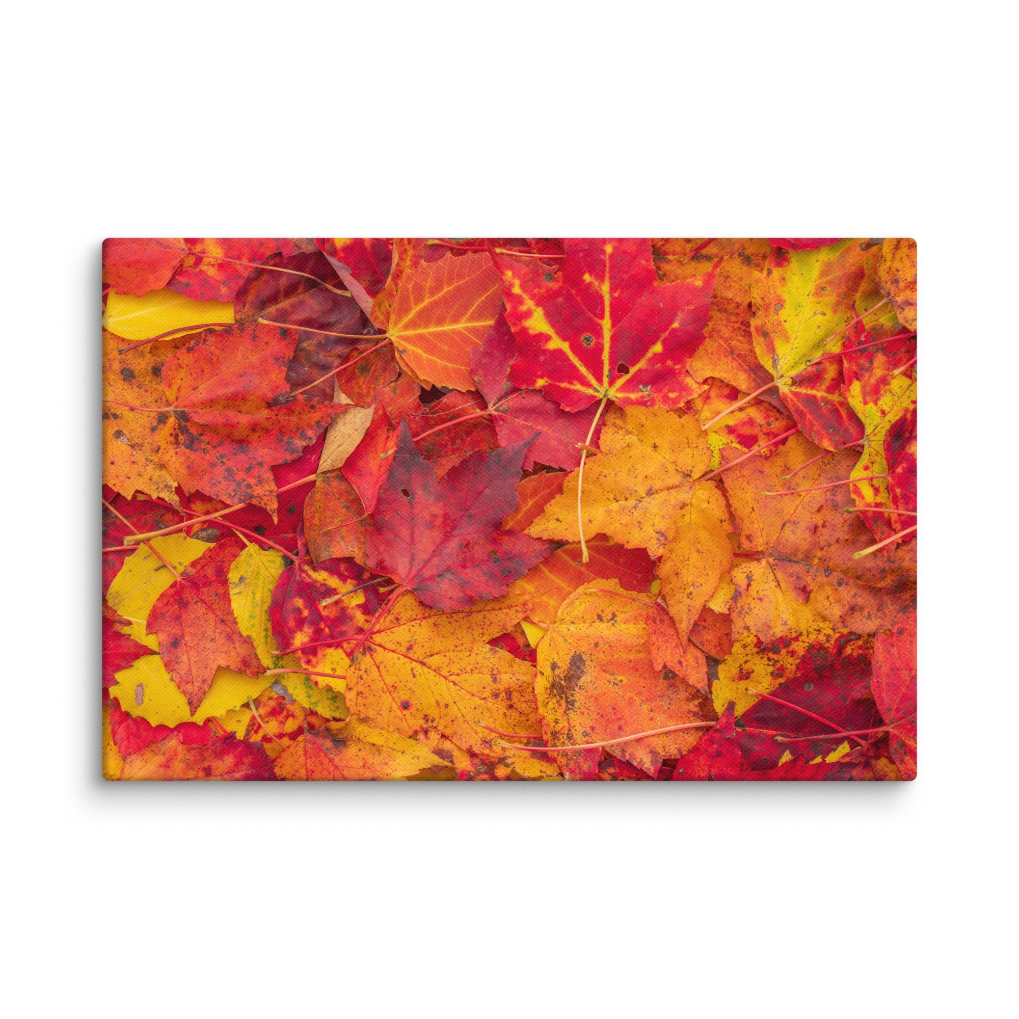 canvas-(in)-12x18-wall-67c4c82019fa3.jpg