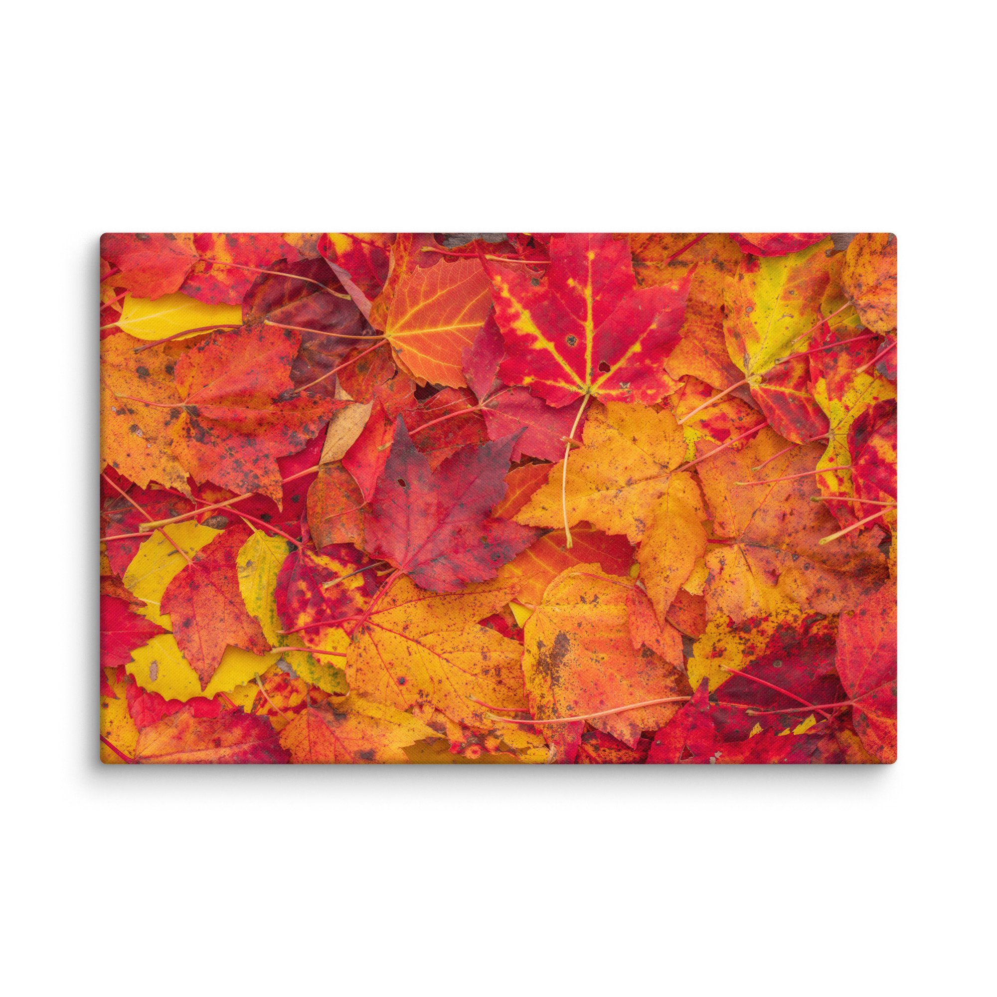 canvas-(in)-16x24-wall-67c4c8201a06b.jpg