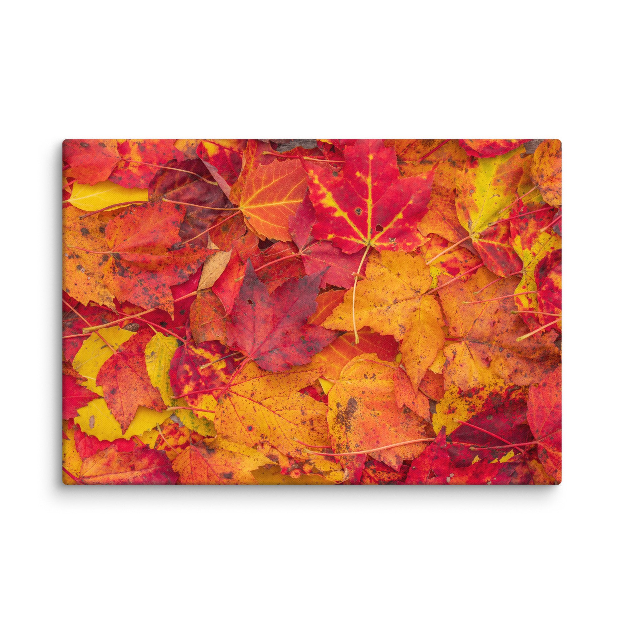 canvas-(in)-18x26-wall-67c4c8201a122.jpg