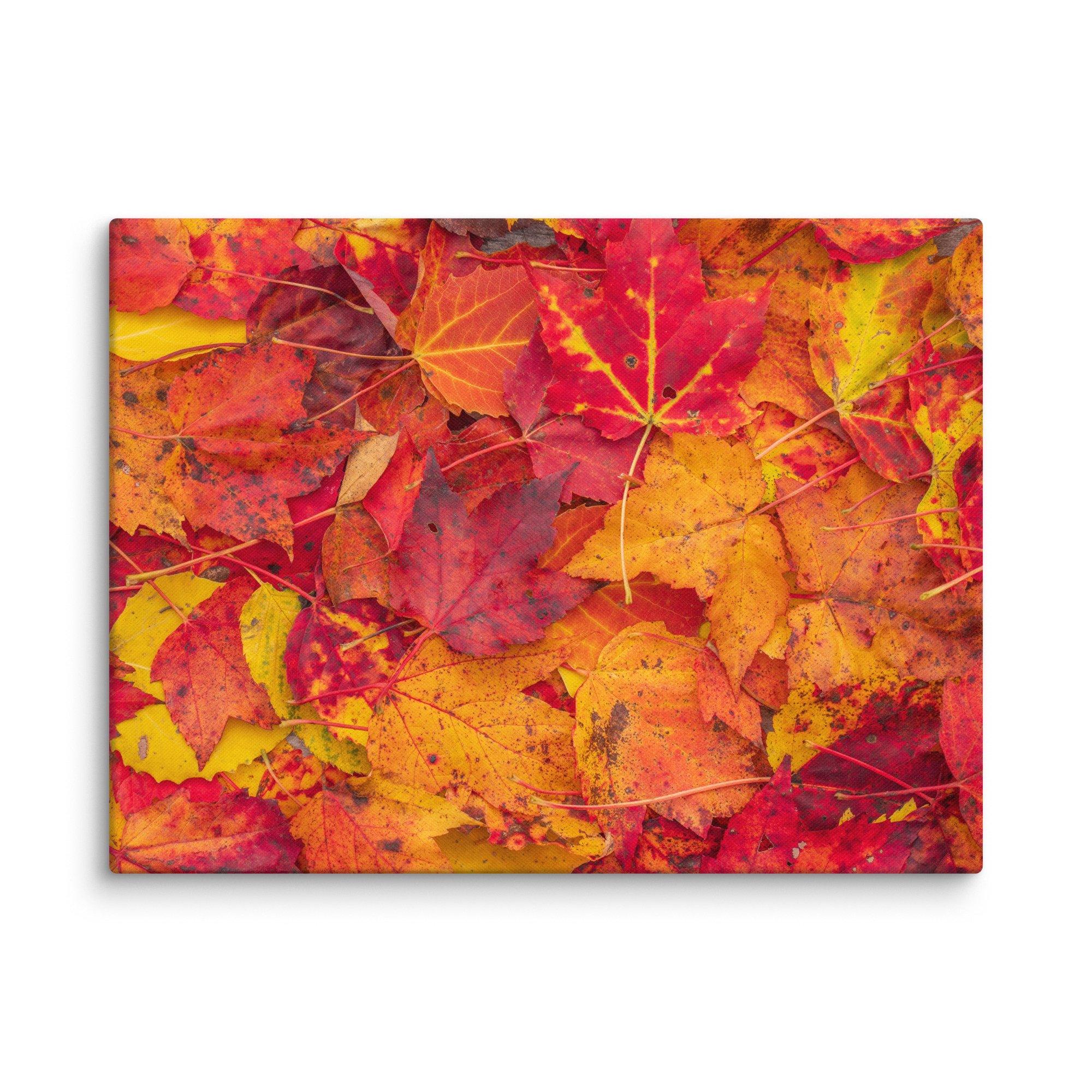canvas-(in)-24x32-wall-67c4c8201a30f.jpg