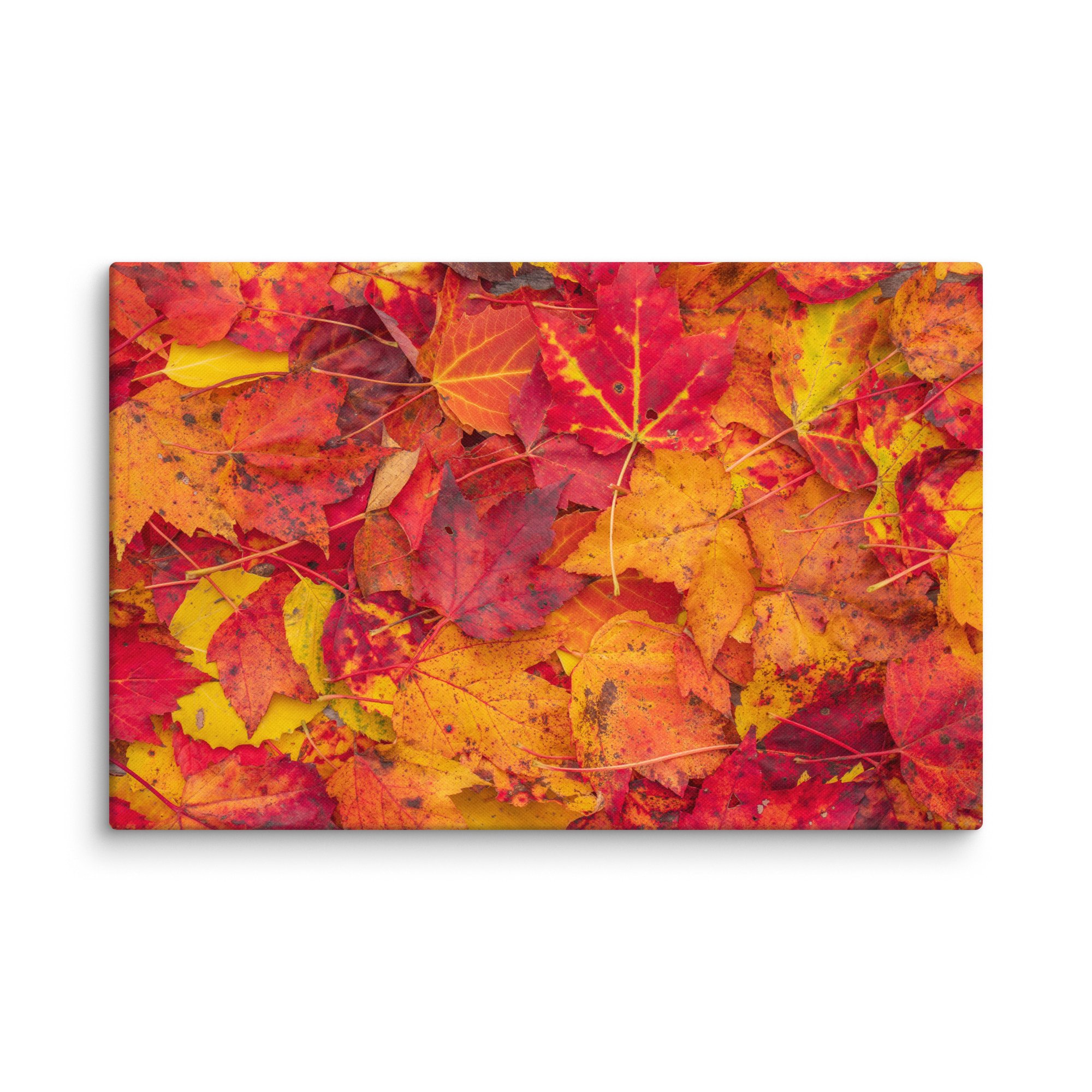 canvas-(in)-26x40-wall-67c4c8201a3c8.jpg