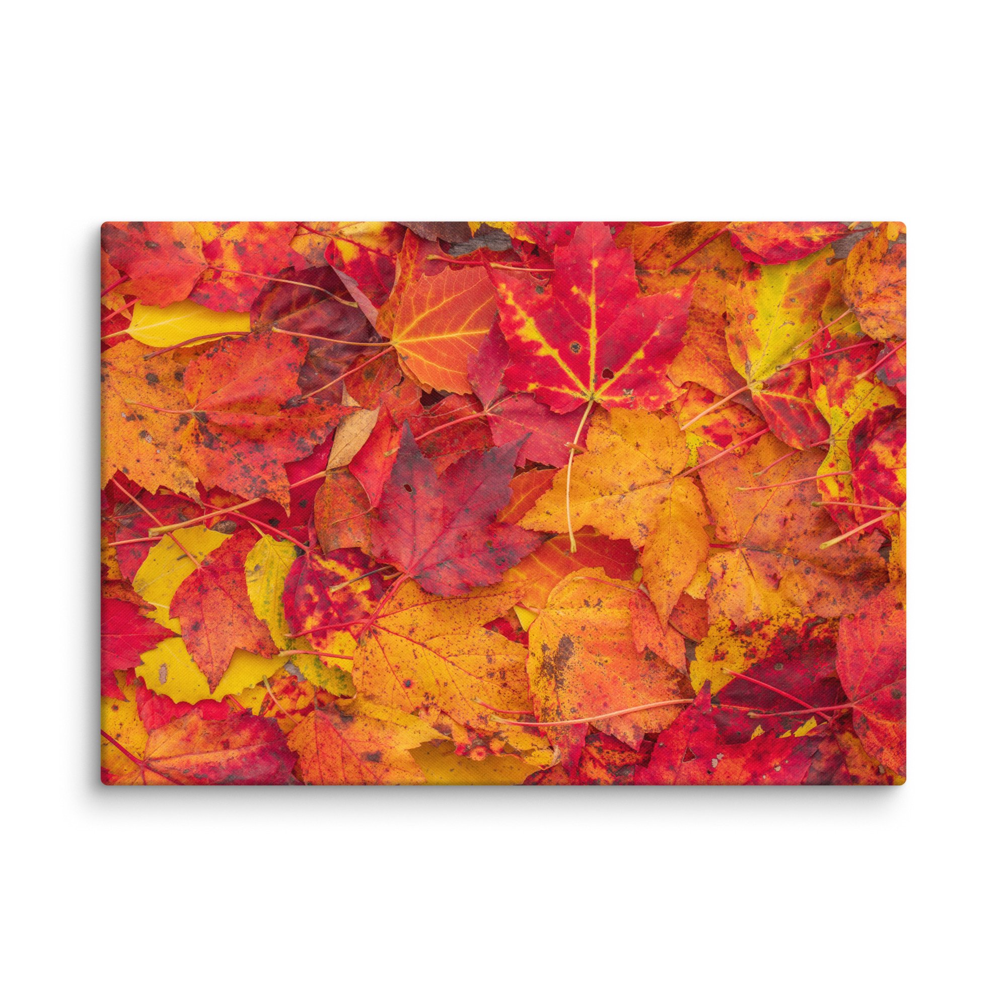 canvas-(in)-28x40-wall-67c4c8201a467.jpg