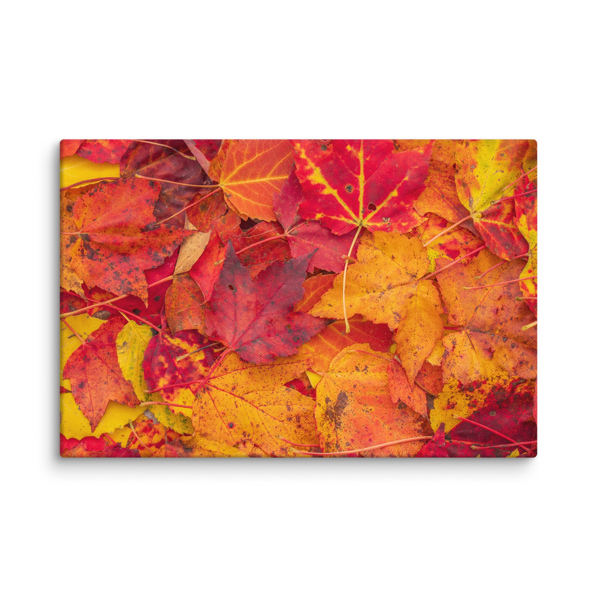 canvas-(in)-8x12-wall-67c4c8201a645.jpg