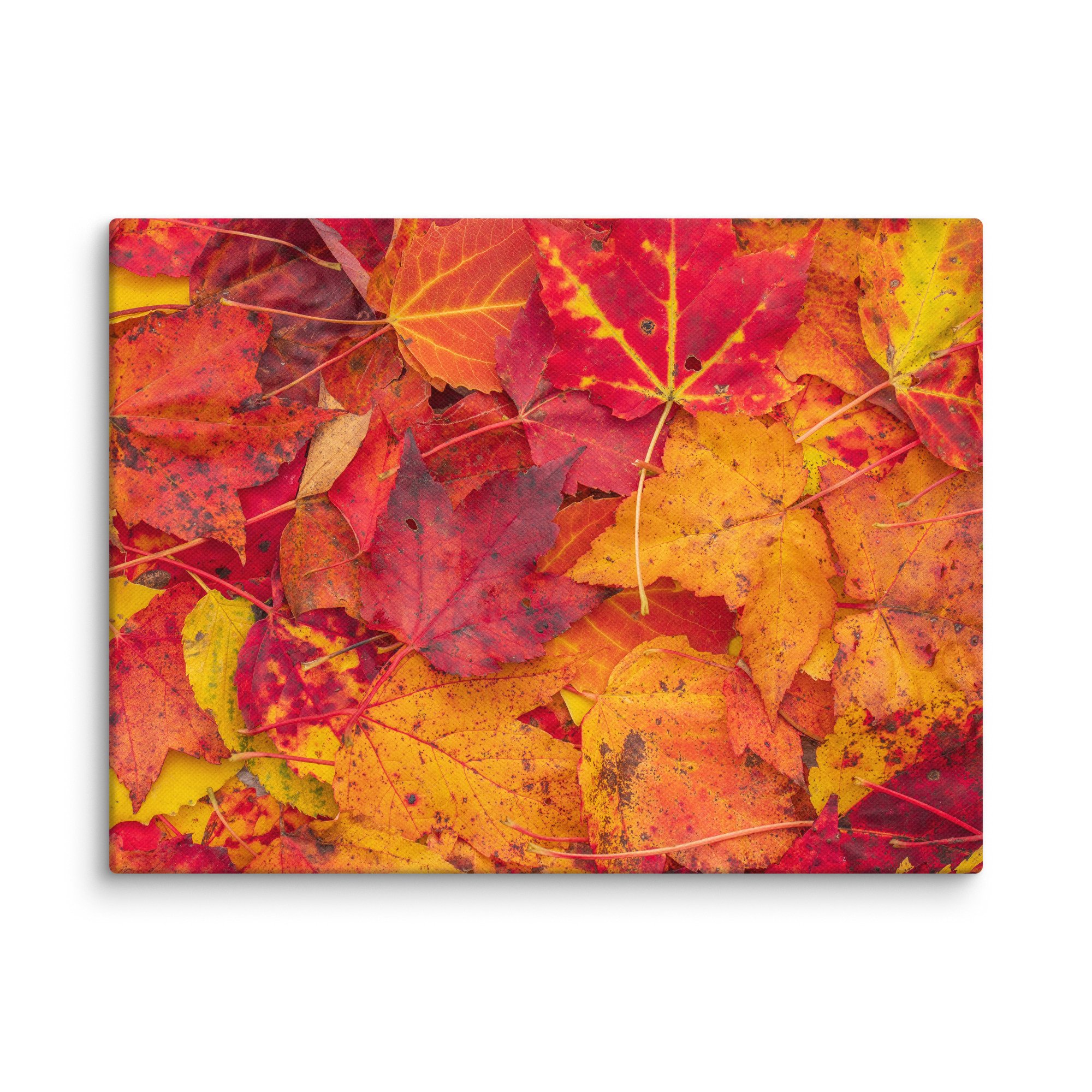 canvas-(in)-9x12-wall-67c4c8201a6e8.jpg