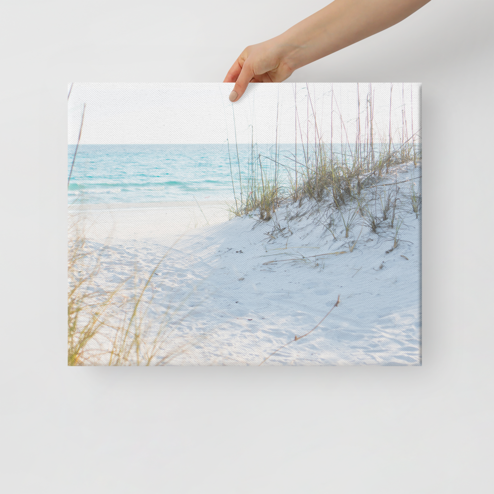 canvas-(in)-16x20-front-67c4c8f8c5161.png