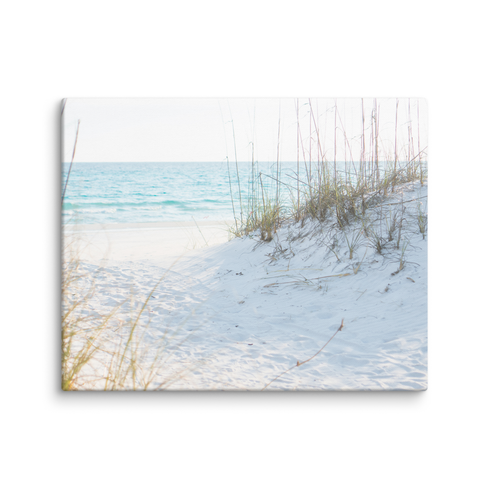 canvas-(in)-16x20-wall-67c4c8f8c4ef3.png