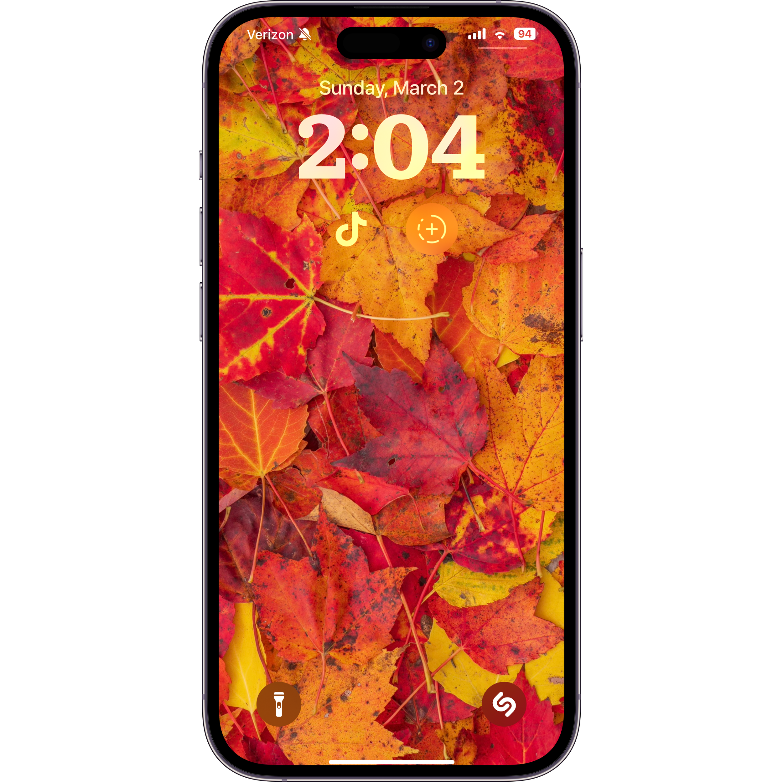 Phone Background - Autumn Leaves