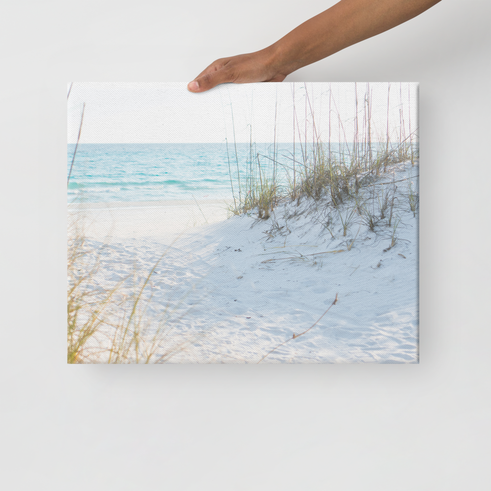 canvas-(in)-16x20-front-67c4c8f8c5135.png