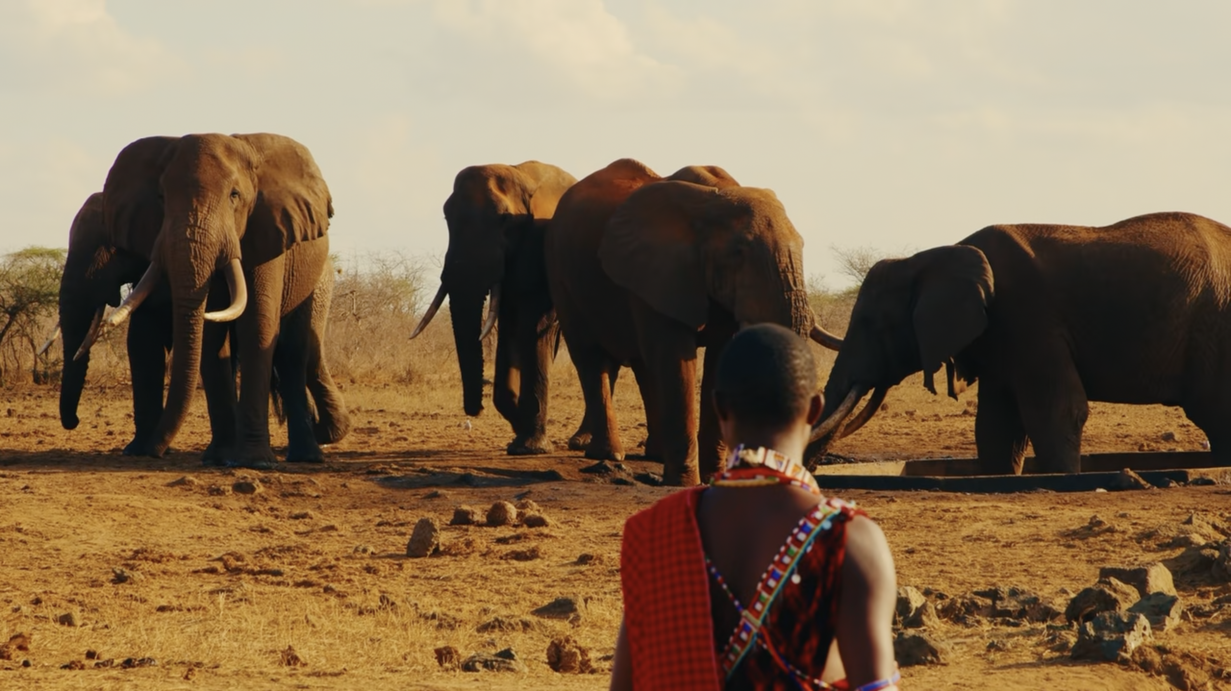 Screenshot 2026-02-20 at 11.50.02 AM.png