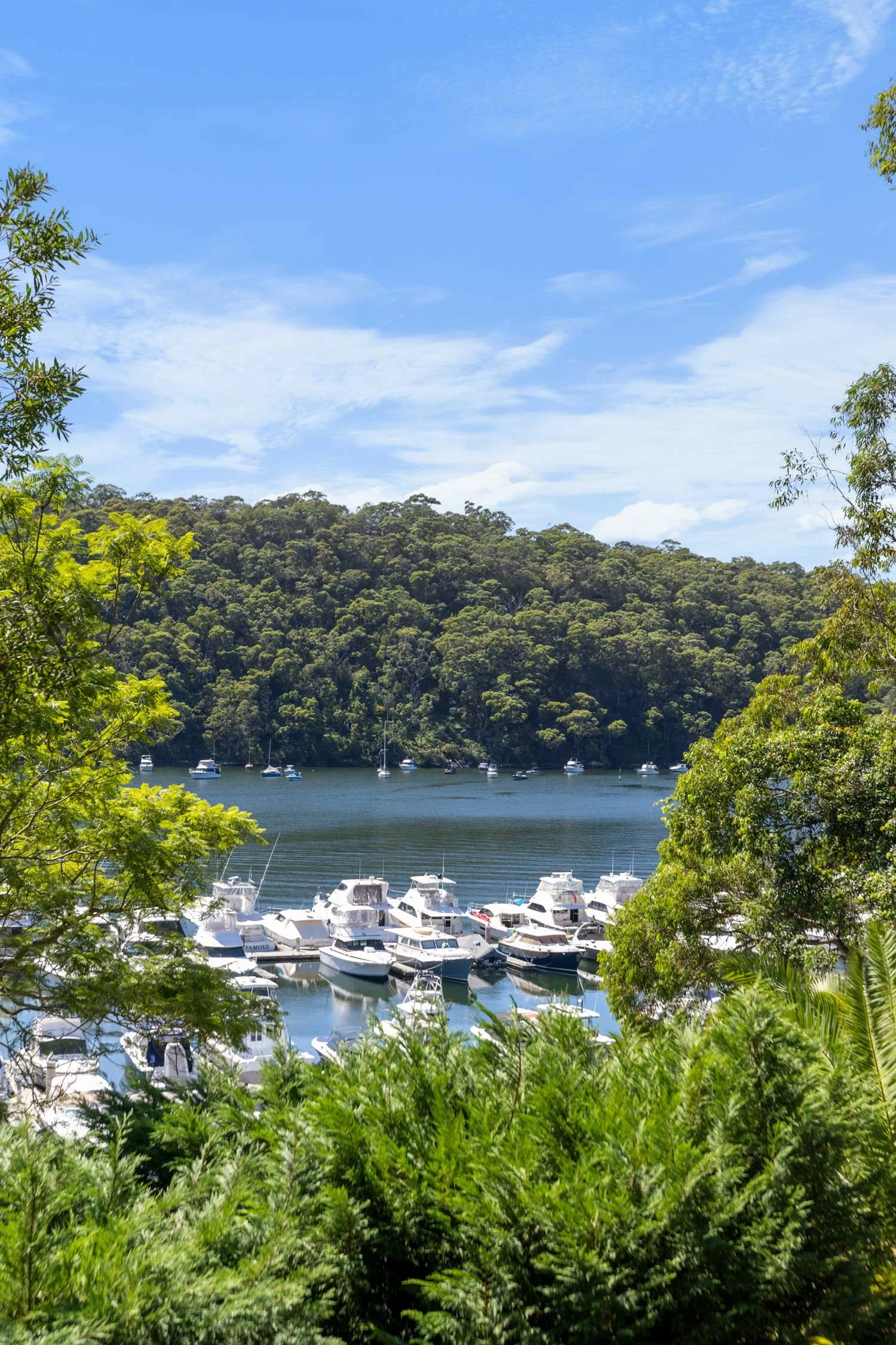 Scenic view of a marina with several yachts docked, surrounded by lush green trees and hills under a clear blue sky.