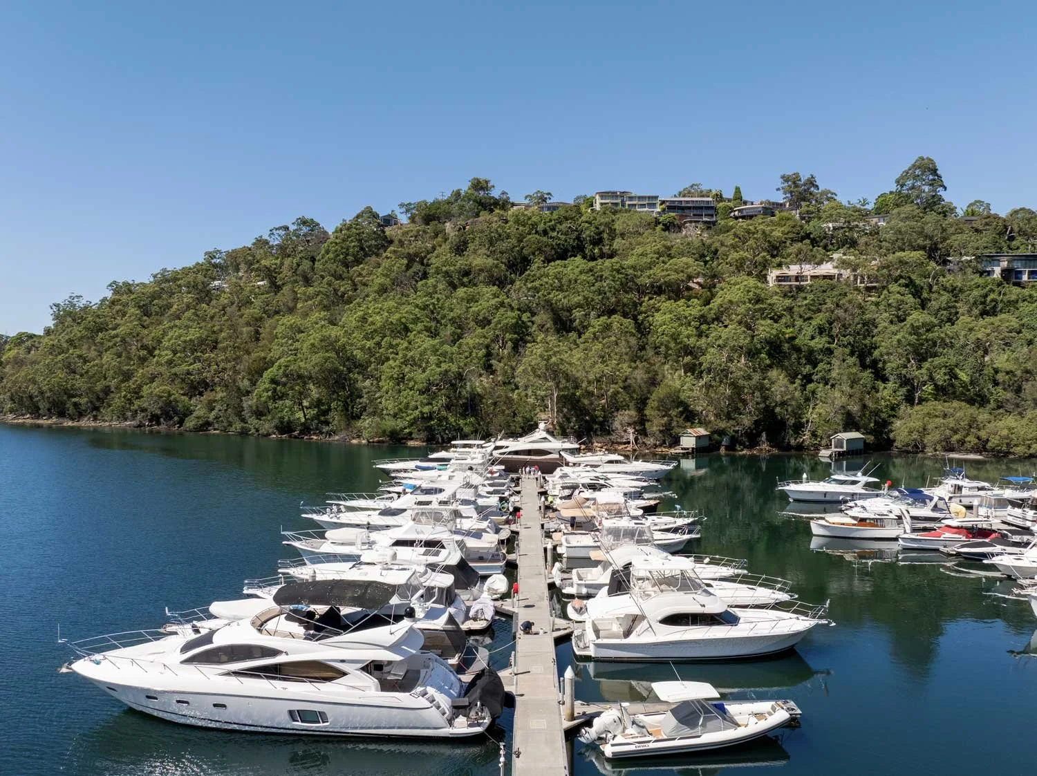 Marina with multiple yachts docked, surrounded by lush green trees and hillside.