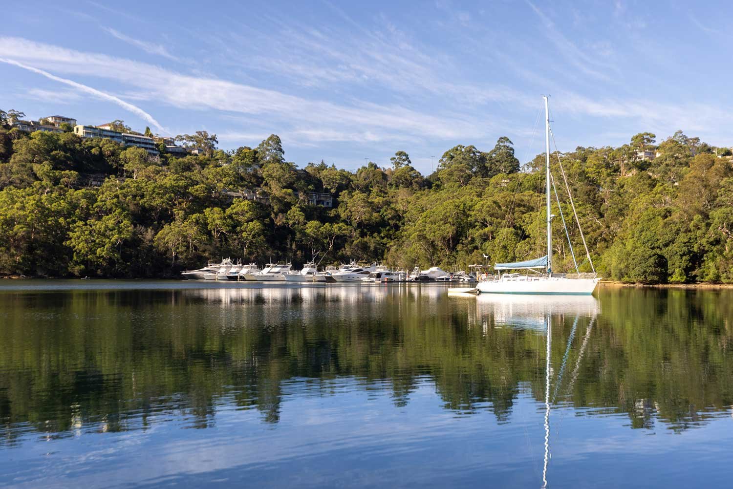 A serene river scene with a sailboat on the right and several motorboats docked in front of a forested hillside under a clear blue sky at the Roseville Marina.