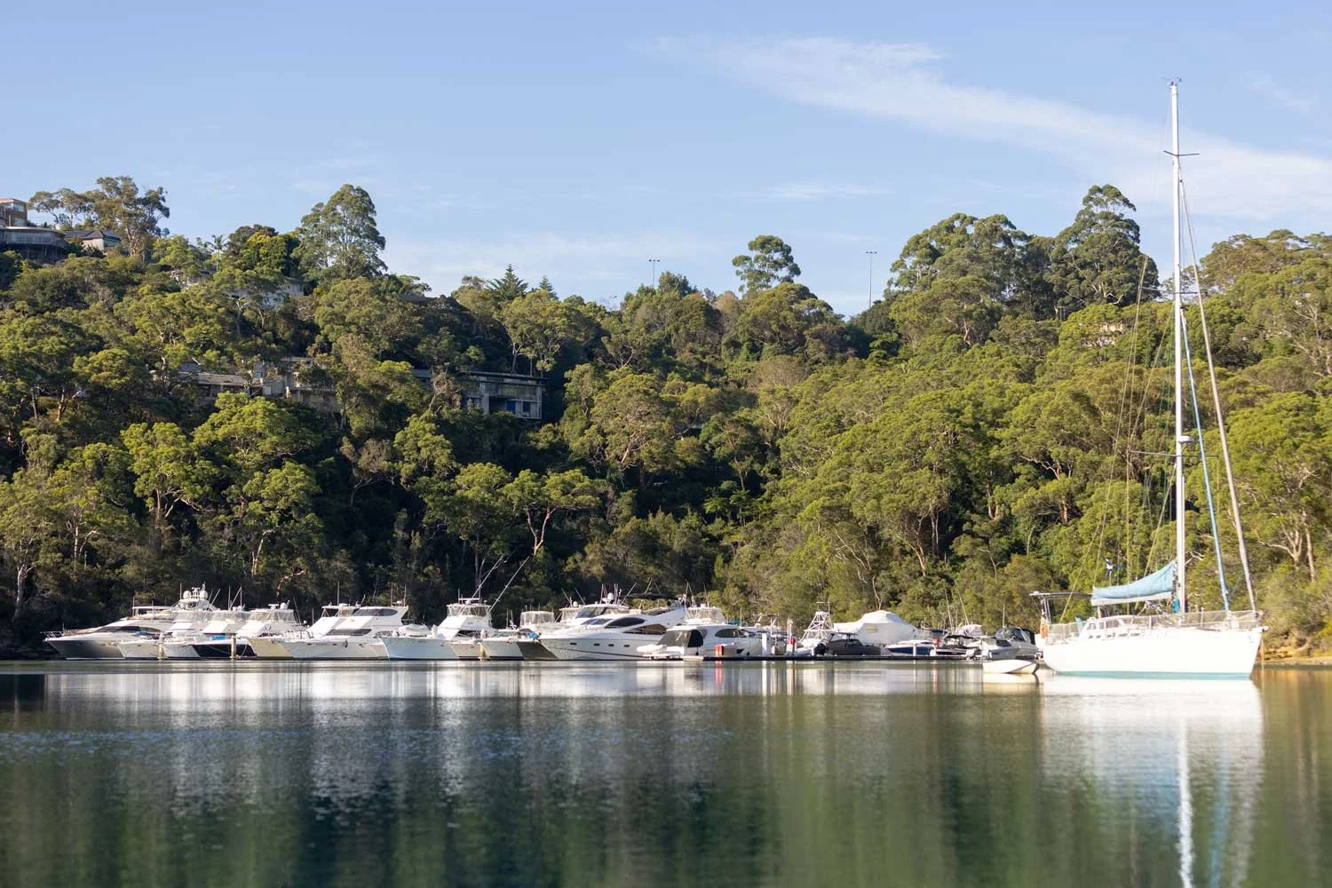 Several yachts docked in a calm marina, surrounded by dense green trees and hillside in the background under a clear blue sky.