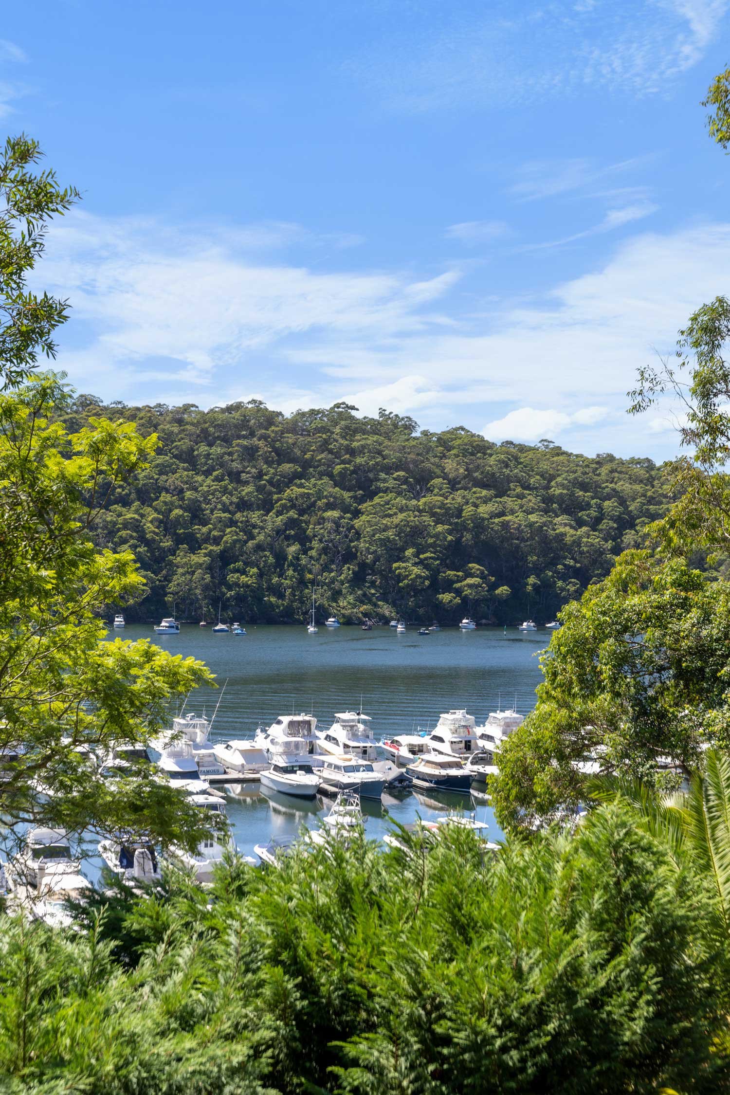 Seascape with several yachts docked in the Roseville Marina, surrounded by lush green trees, with a forested hill in the background and blue sky overhead.