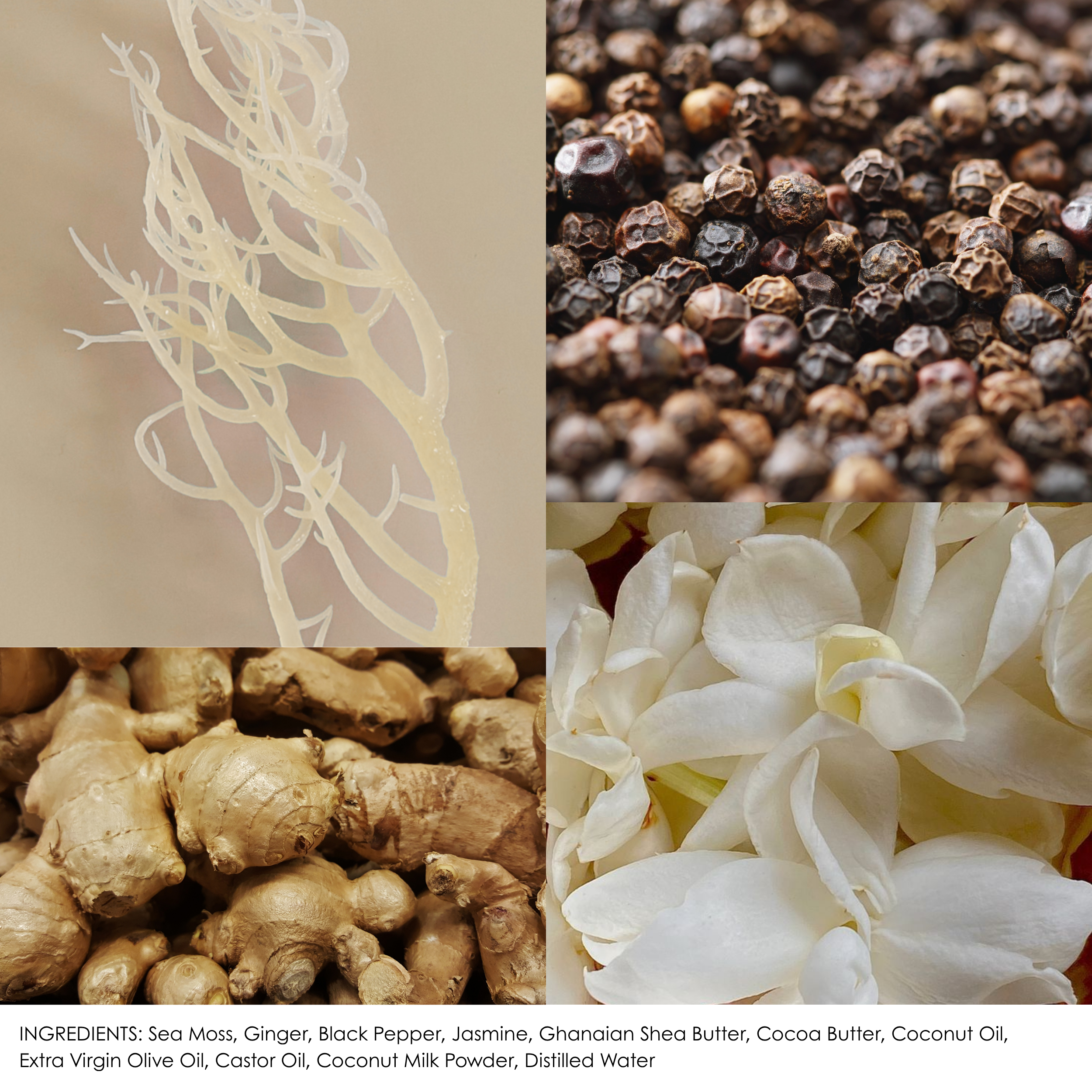 Velvet Jasmine.png