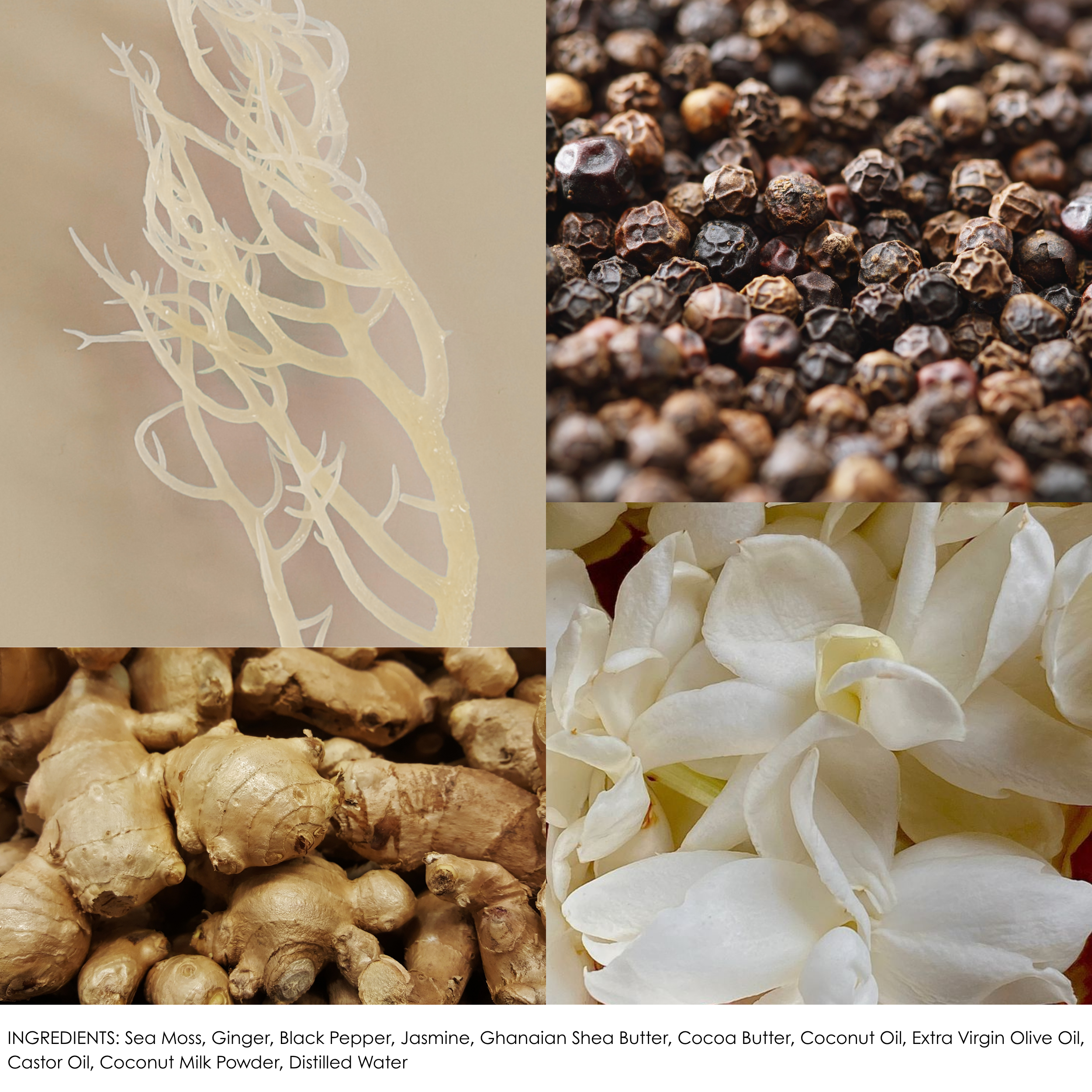 Velvet Jasmine (1).png