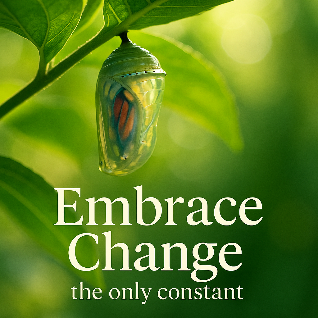 Embrace Change: The Only Constant