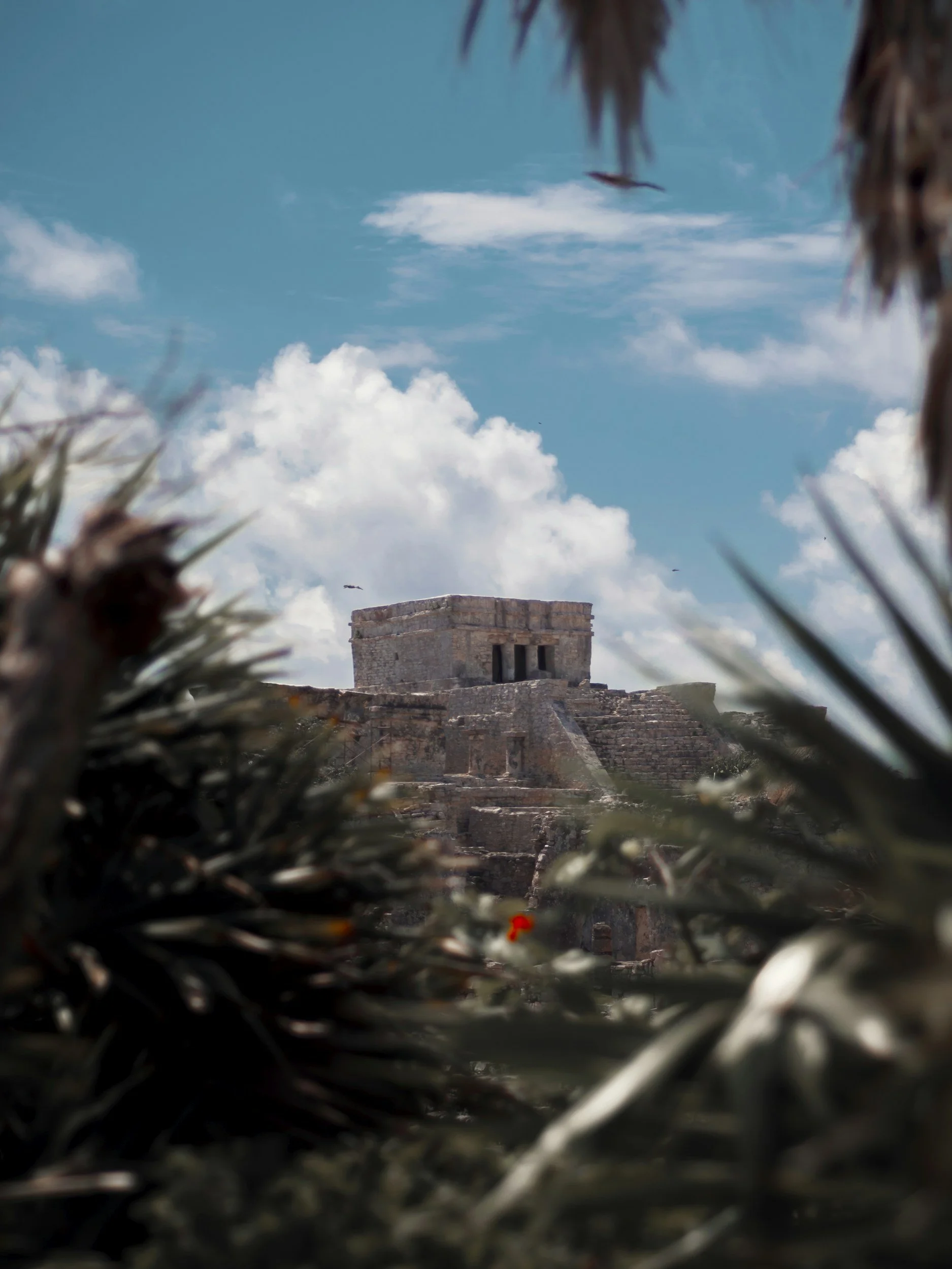 unsplash-image-_ylyMcOqq6s.jpg