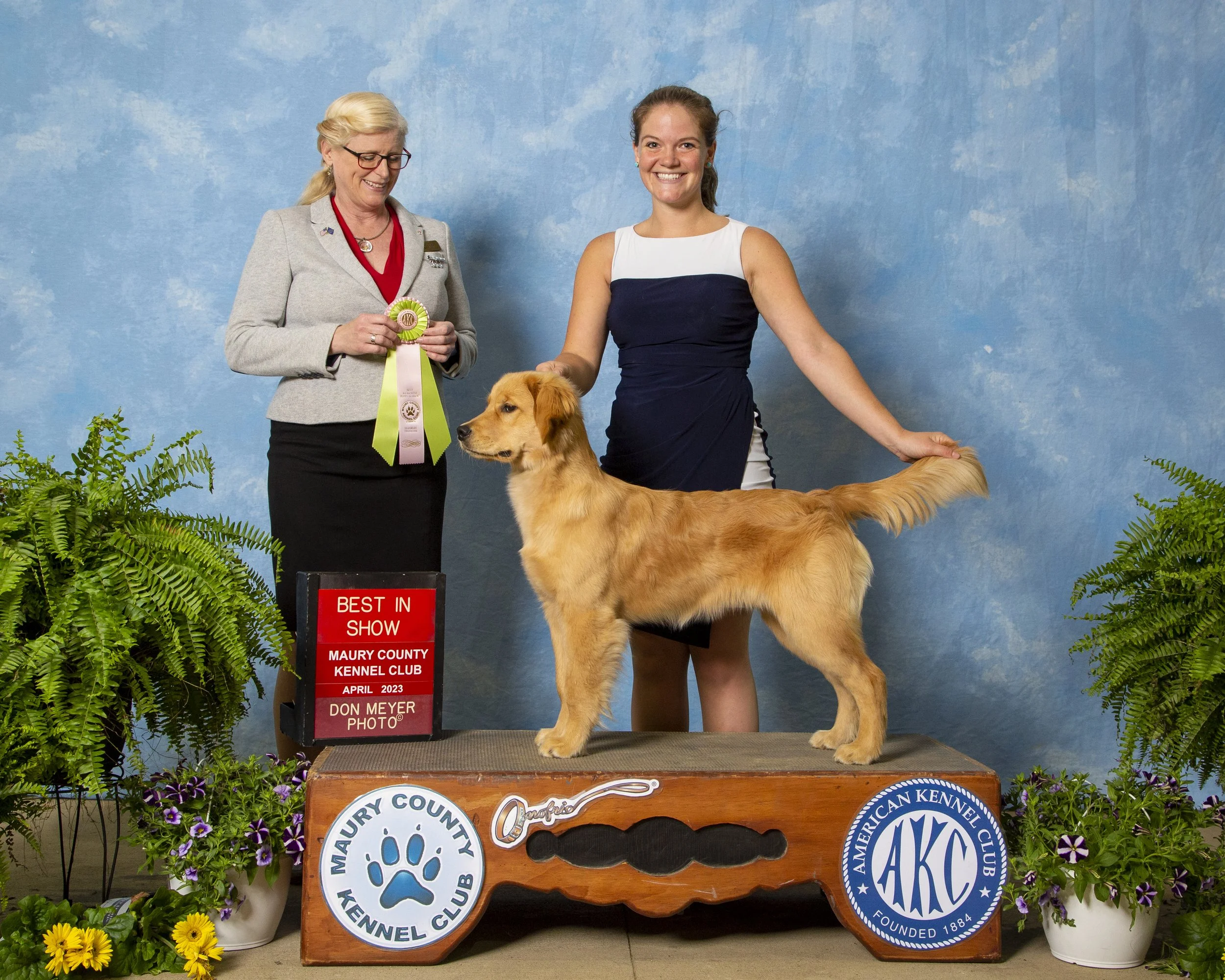A young woman with a golden retriever dog at a dog show, with an older woman holding a ribbon, and a sign that reads 'Best in Show, Maury County Kennel Club, April 2023, Don Meyer Photo.' The dog is standing on a platform with Maury County Kennel Clu