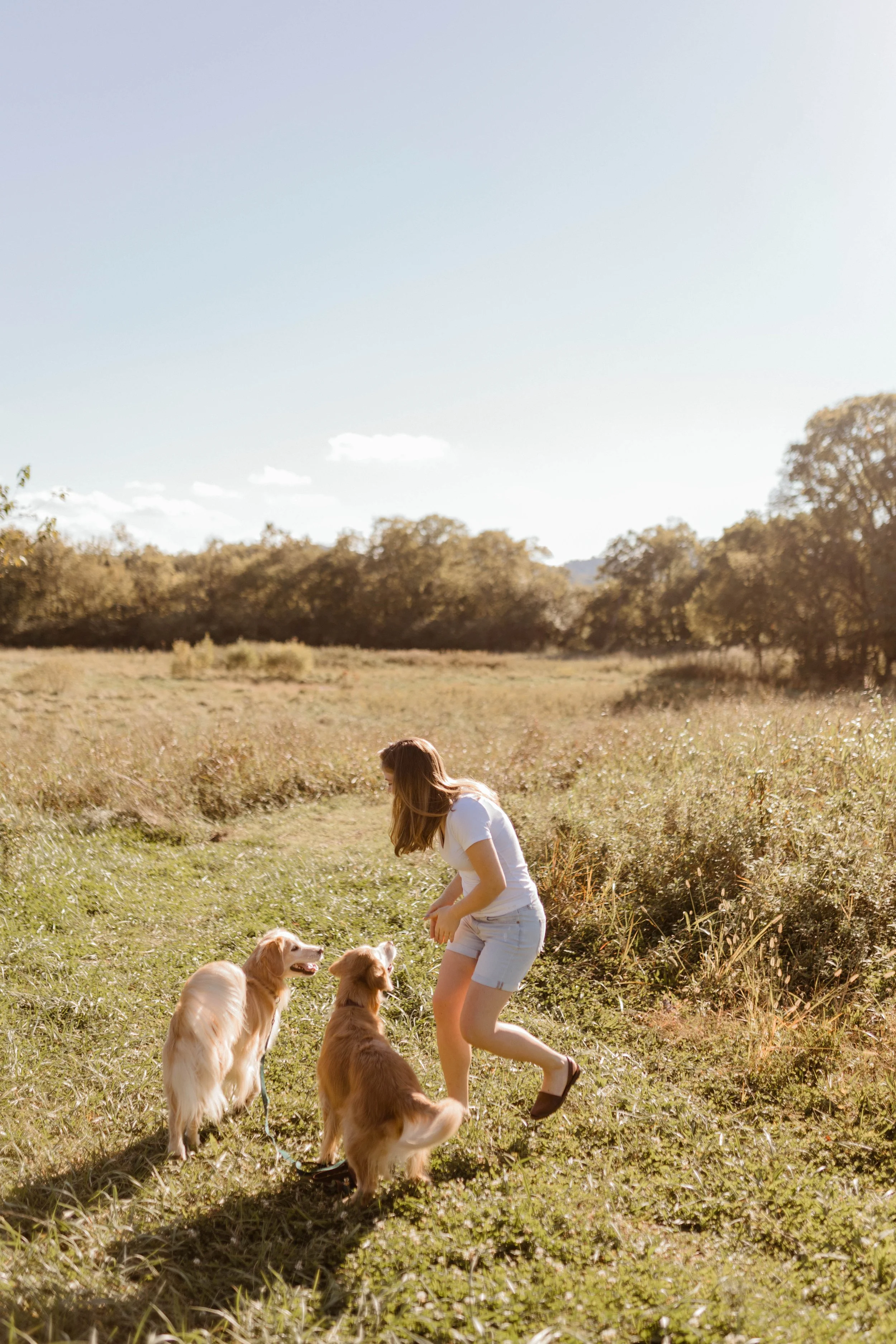A young woman playing with two dogs in a grassy field during daytime, with trees in the background and clear blue sky.