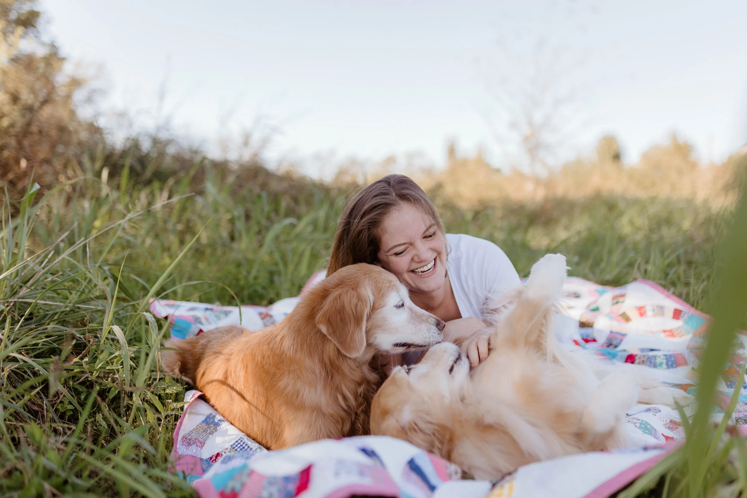 A woman lying on a quilt outdoors, playfully interacting with two golden retrievers in a grassy field on a clear day.