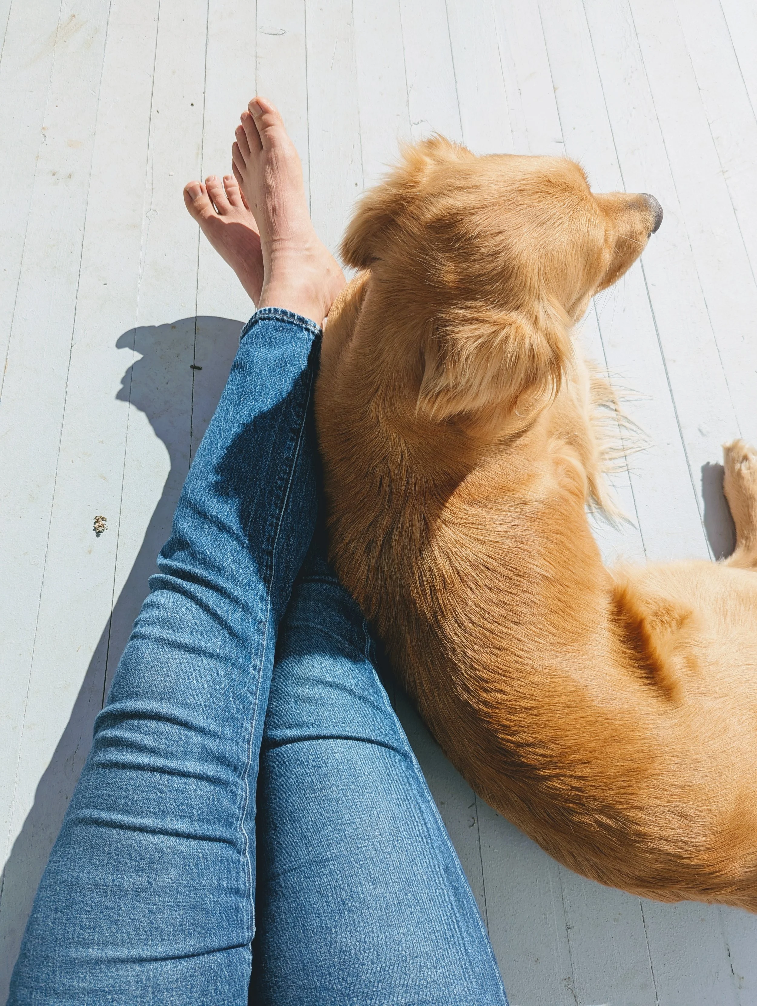 Person sitting on light-colored wooden floor with a golden retriever dog resting beside their legs.