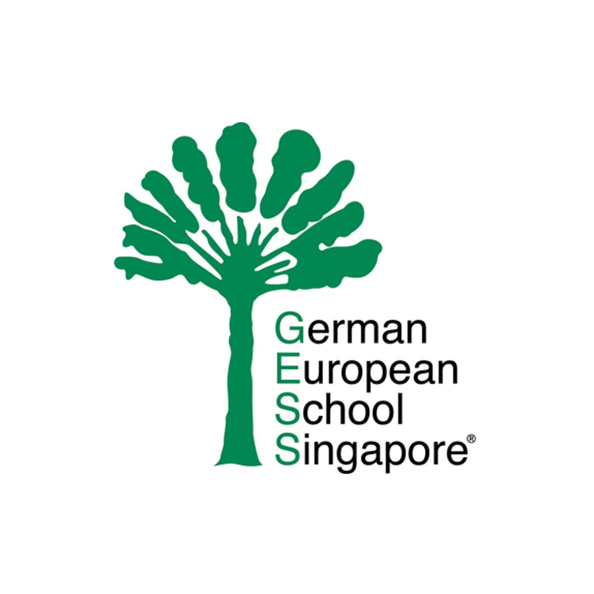 Logo of German European School Singapore with a green tree icon next to the text.