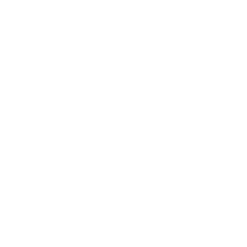 Logo of Brisbane City Council with a silhouette of a landmark and a palm tree.
