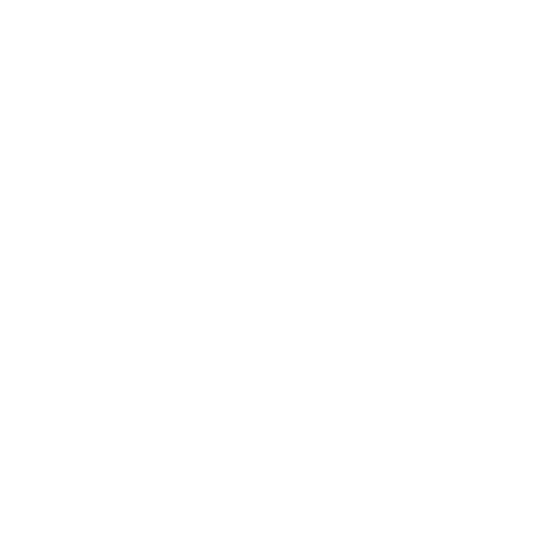 Black background with white text reading "KARNIVAL OUTDOOR FESTIVAL". The word "KARNIVAL" has a butterfly symbol replacing the dot on the letter "I".