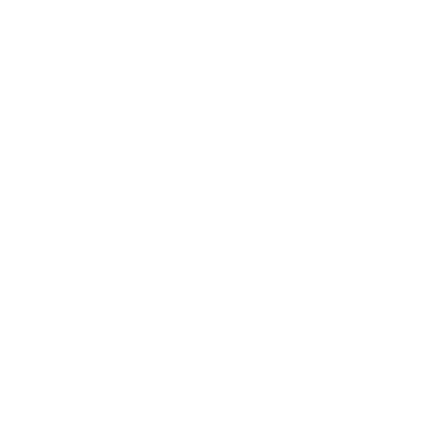 Logo with the words 'Lost Picnic' in decorative white script on a black background.