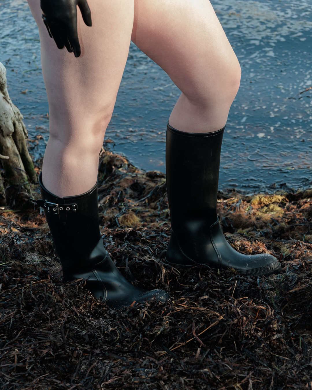 Evyn-FI26Web-12V2.png