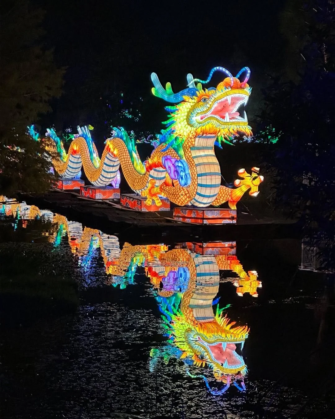 ILUMINA at Mounts Botanical Garden