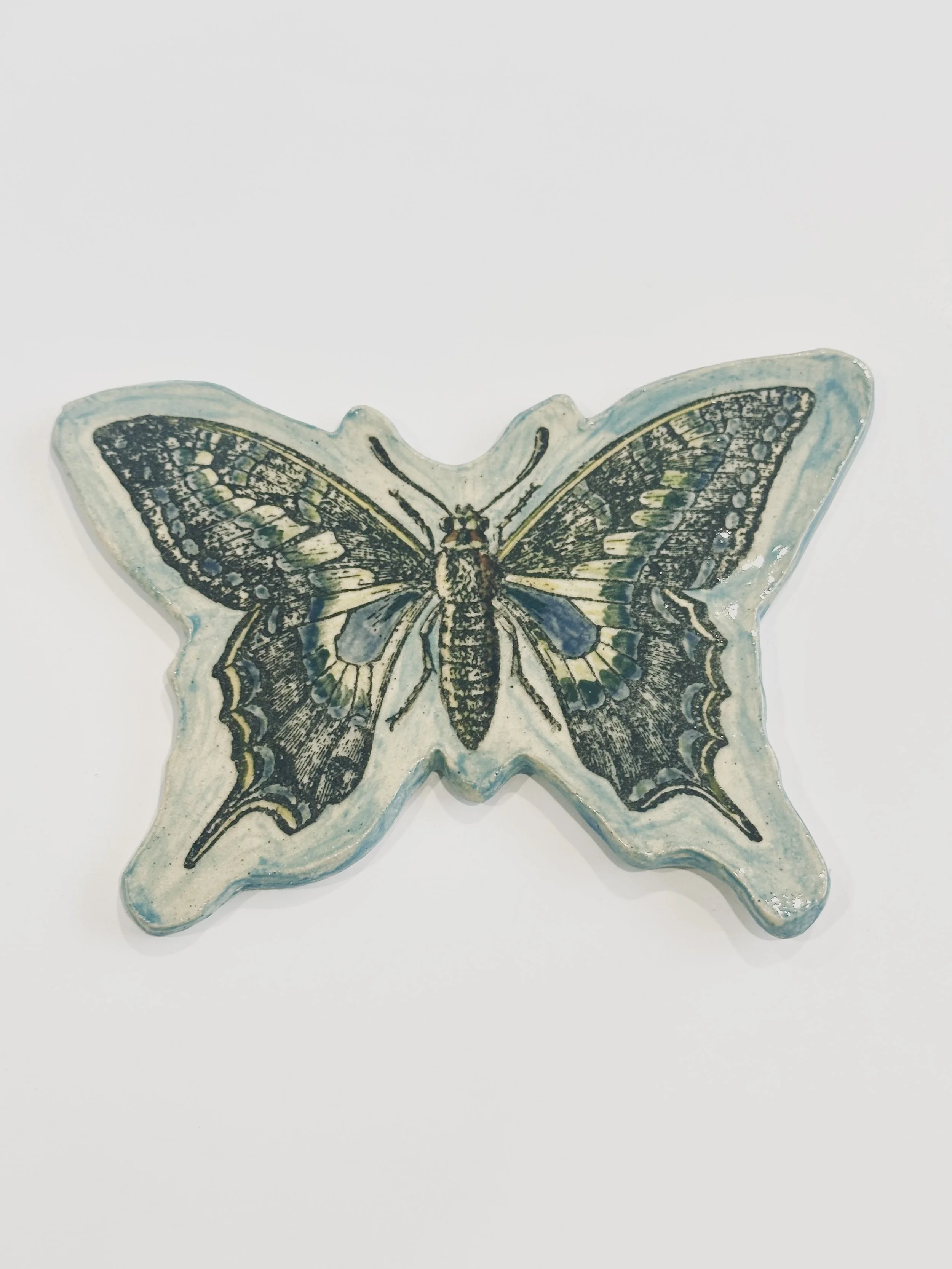 Butterfly in the Clouds