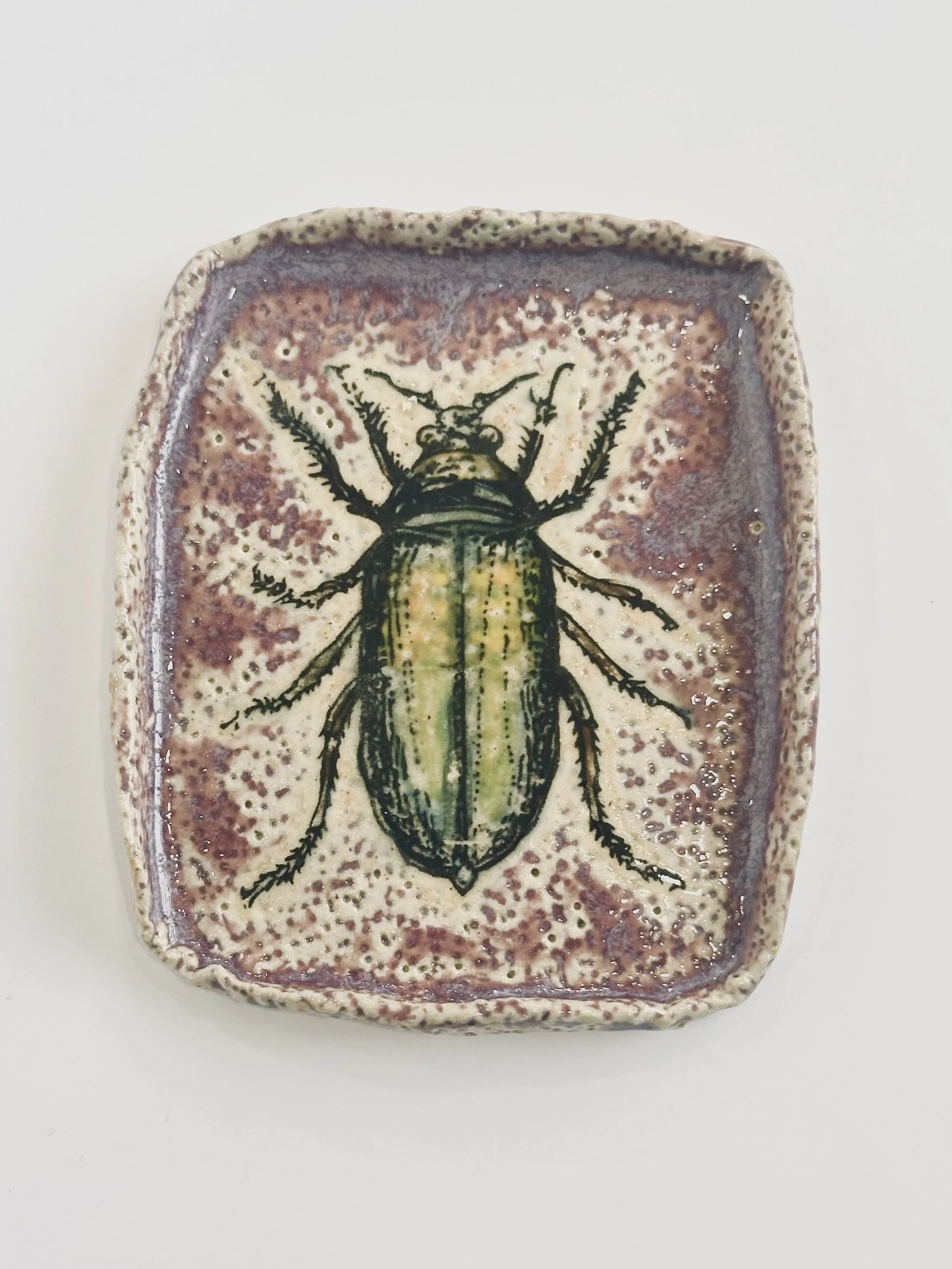 Beetle Dish with Rough Texture