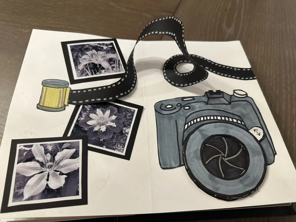 Artist Book - Pop Up Book - Photography