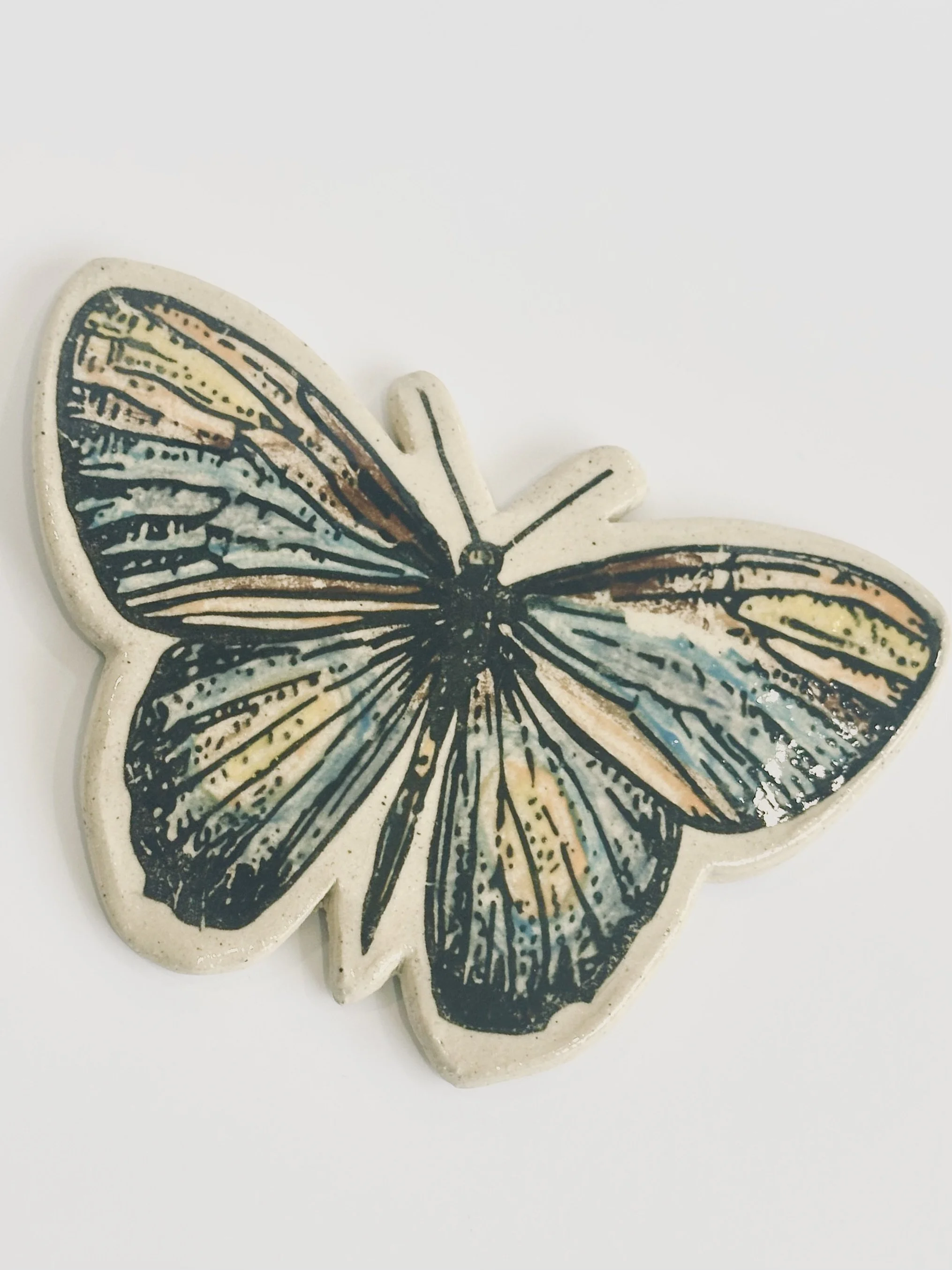 Bold Butterfly