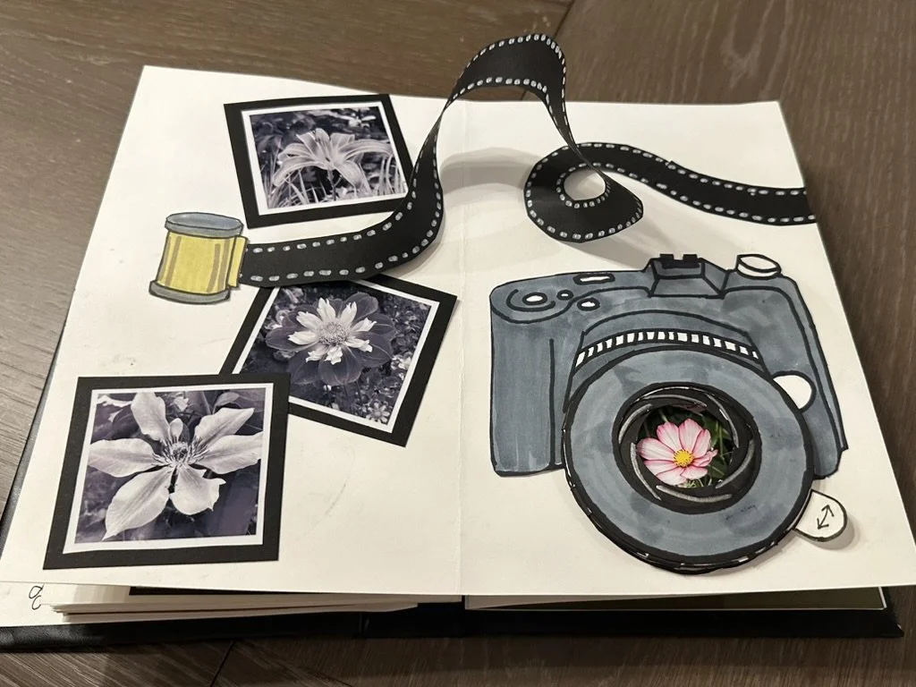 Artist Book - Pop Up Book - Open Shutter