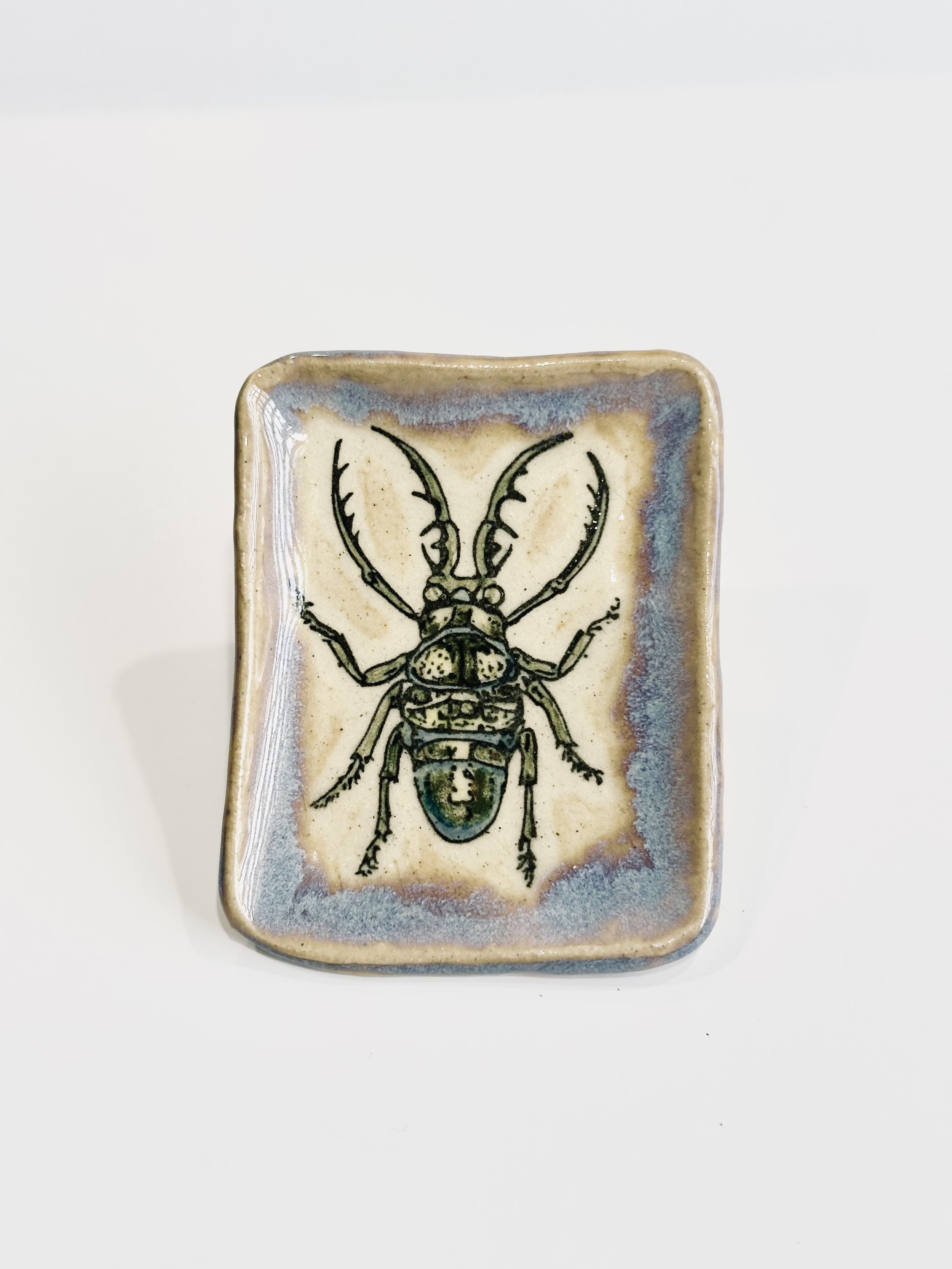 Square Beetle Ring Dish