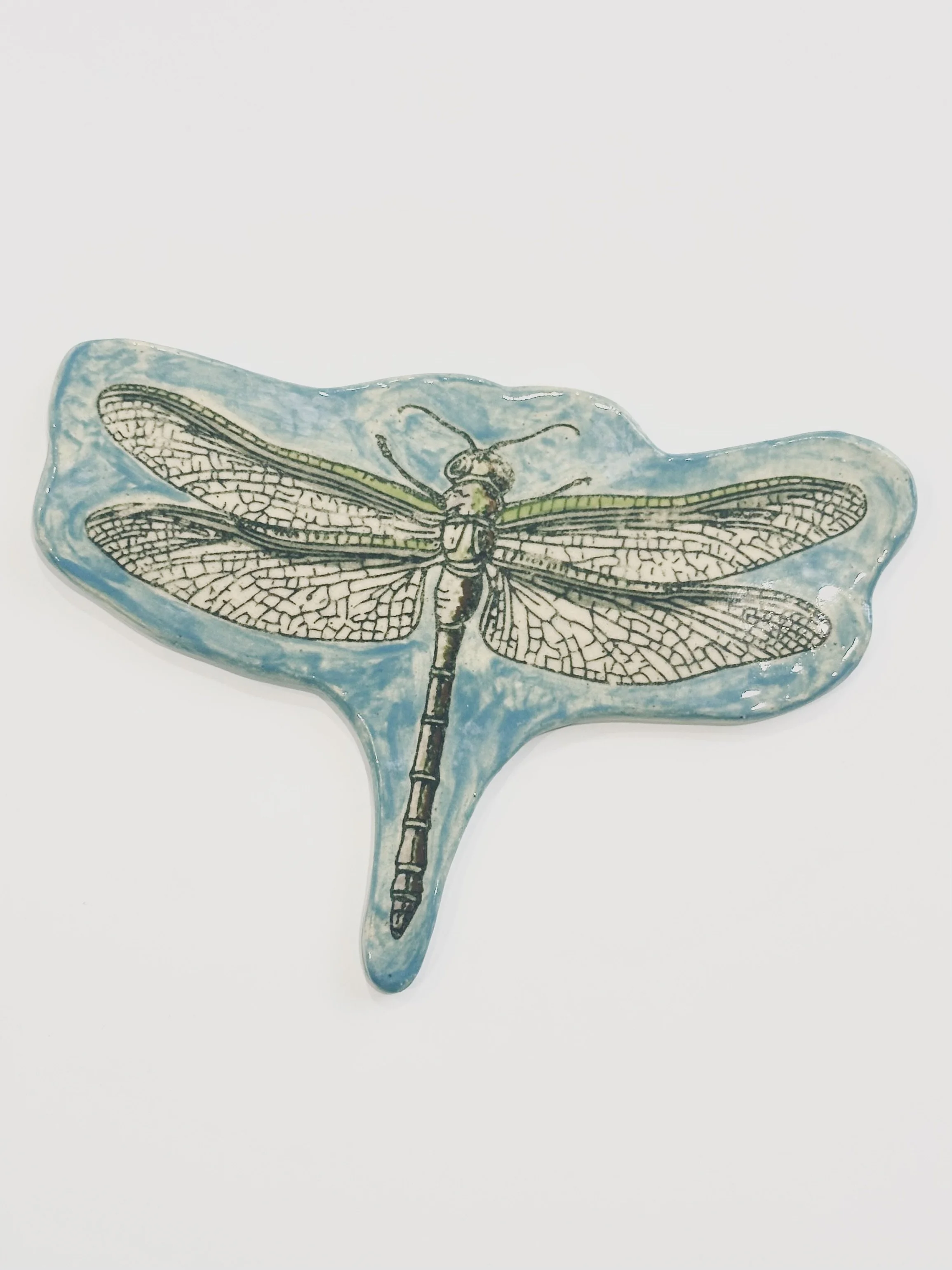 Dragonfly in the Clouds