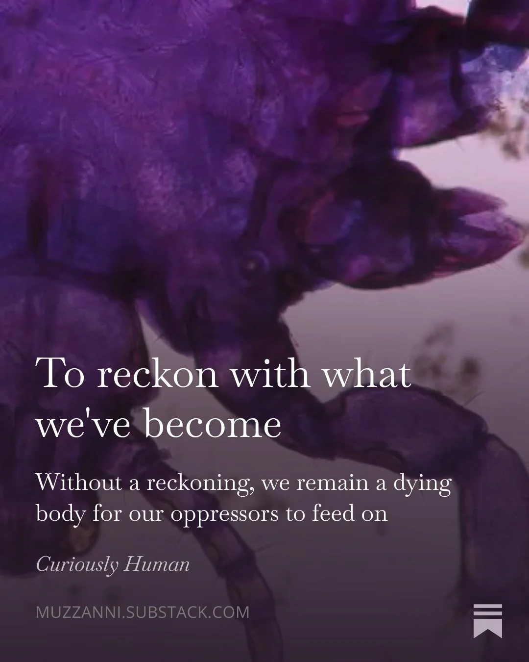 A photo of a purple parasite in the background. The title is "To reckon with what we've become". The byline is "Without a reckoning, we remain a dying body for our pppressors to feed on" Curiouslhy Human - muzzanni.substack.com