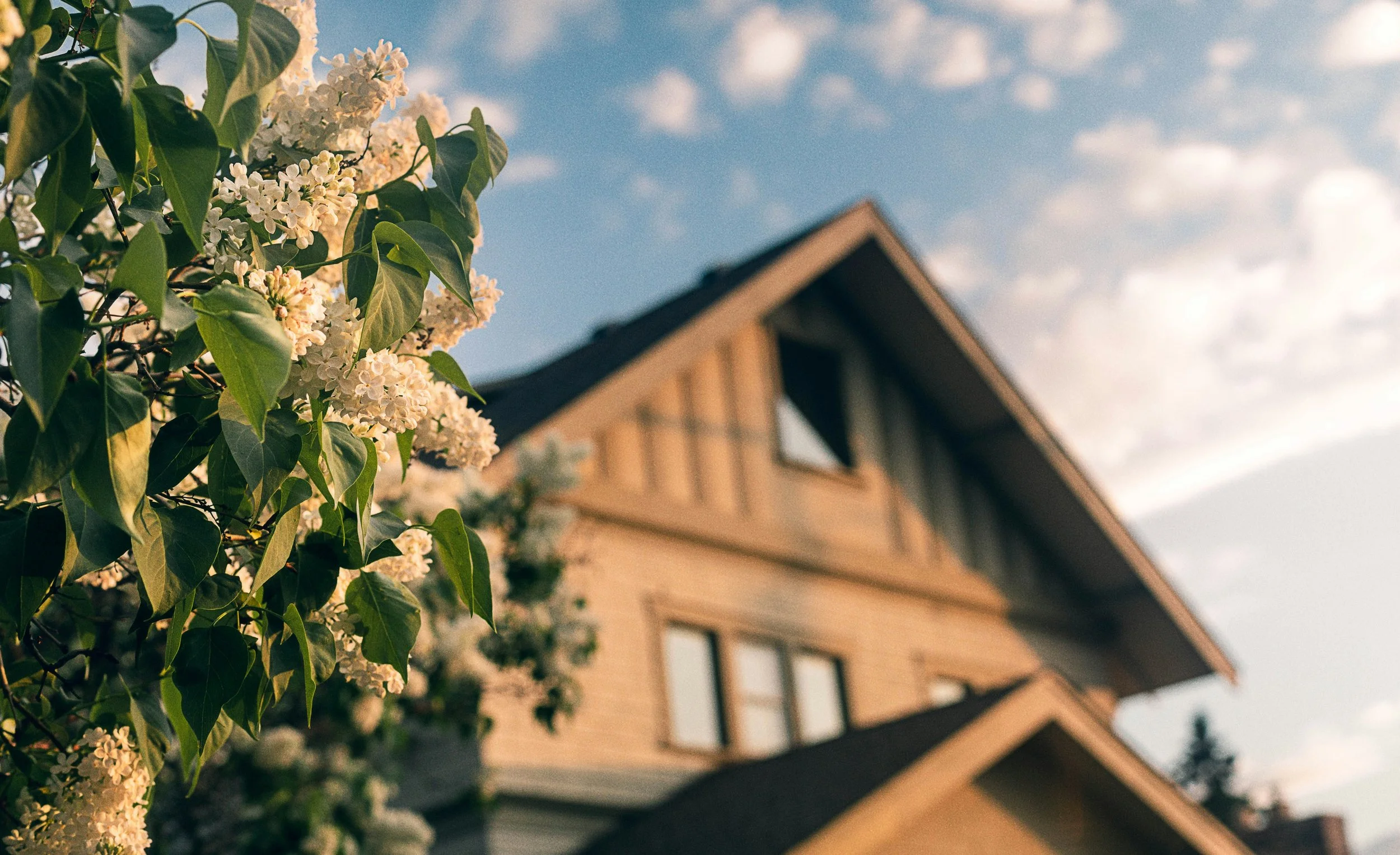 Close-up of white flowering bush in front of a multi-story house with a sloped roof, set against a partly cloudy sky.