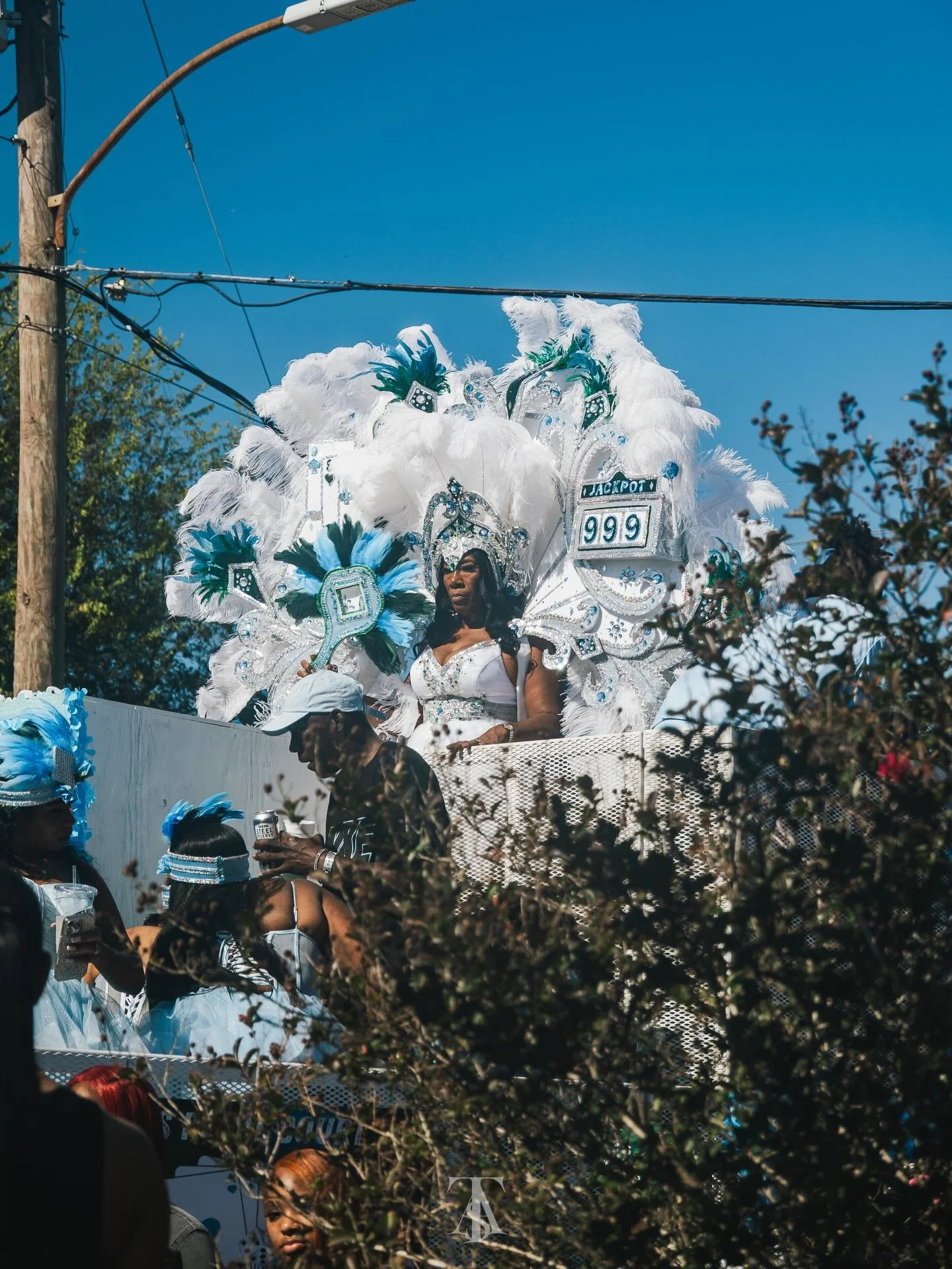 Every photo is a fragment of eternity, a pulse of New Orleans carried in brass and breath