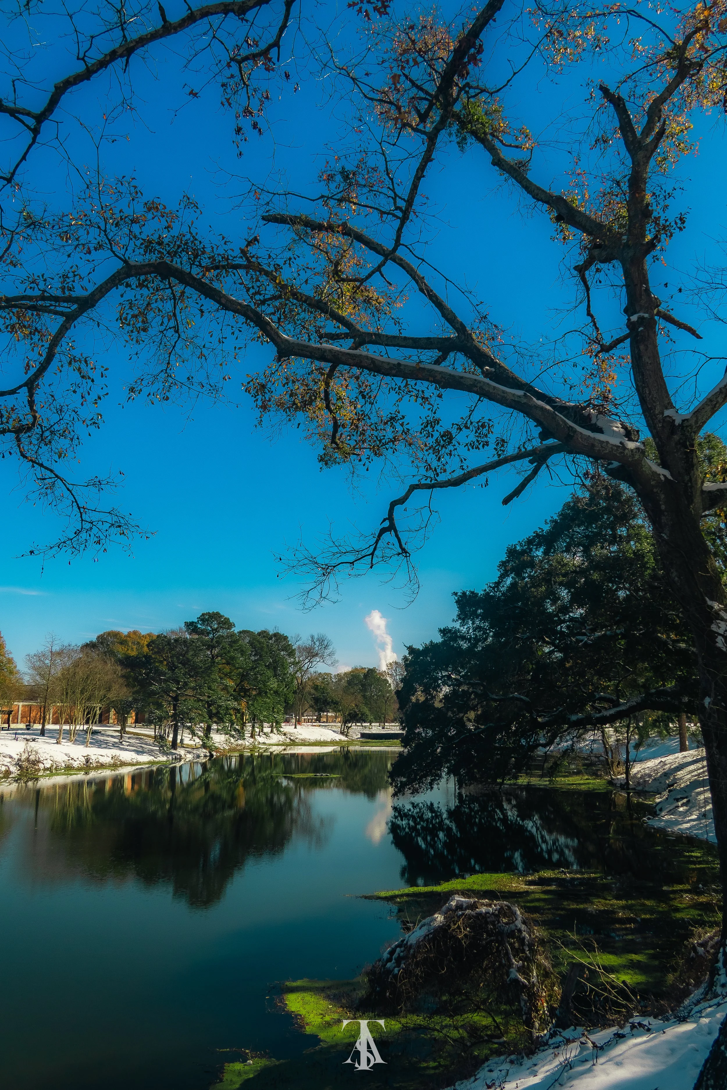 A serene river scene on a clear winter day with snow on the banks and trees, a bright blue sky, and green moss on rocks near the water.