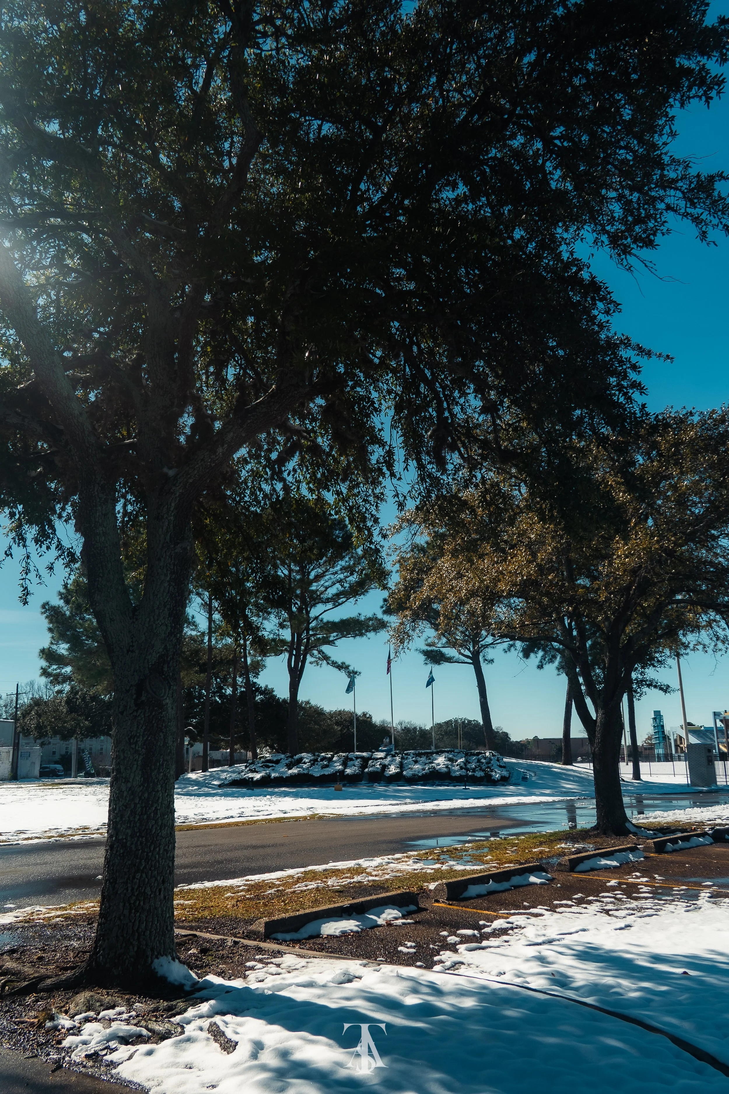 Snow-covered landscape with trees, flags, and a parking lot on a sunny winter day.