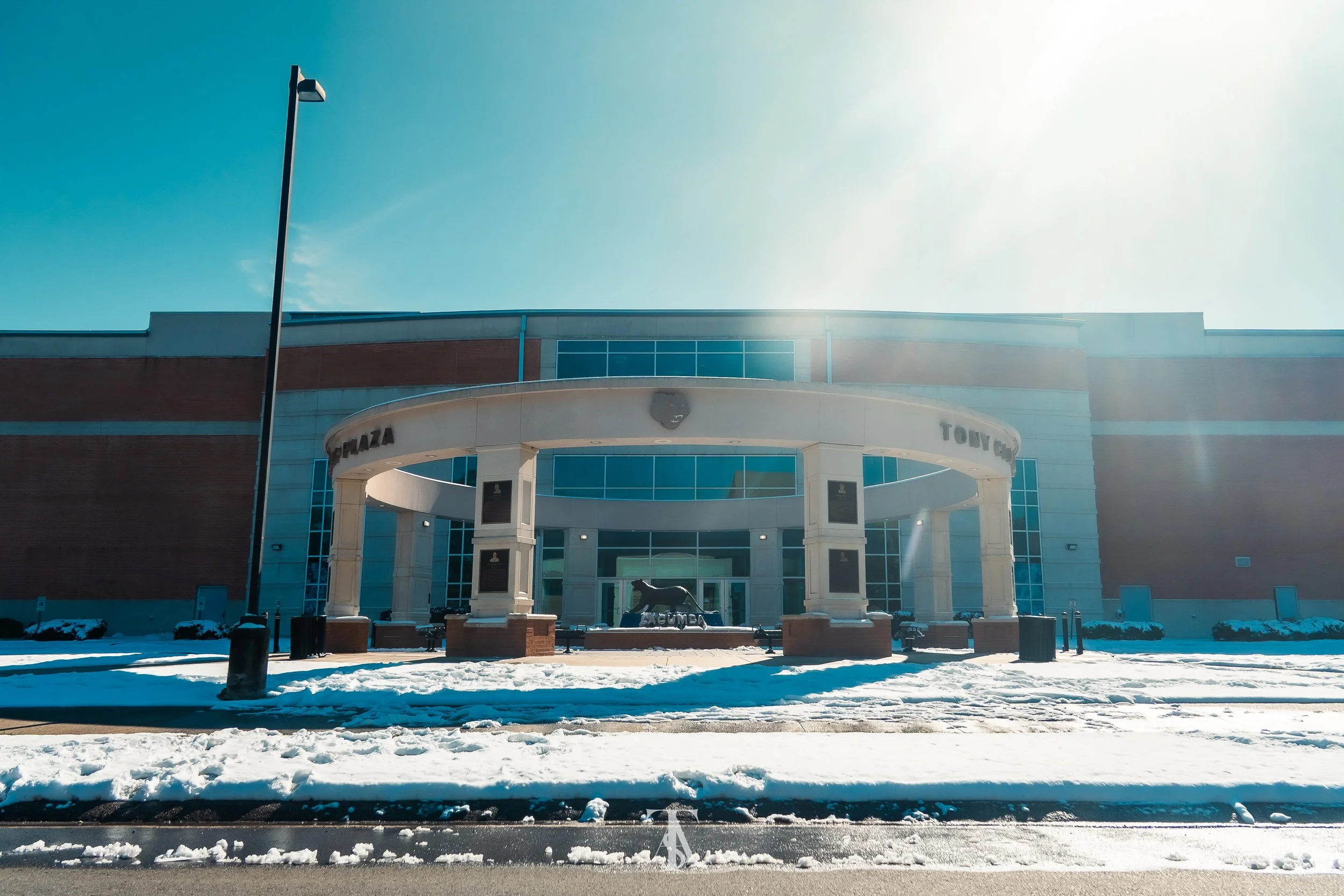 The exterior of a modern building with a statue of a lion in front, snow on the ground, and sunlight creating a glare.